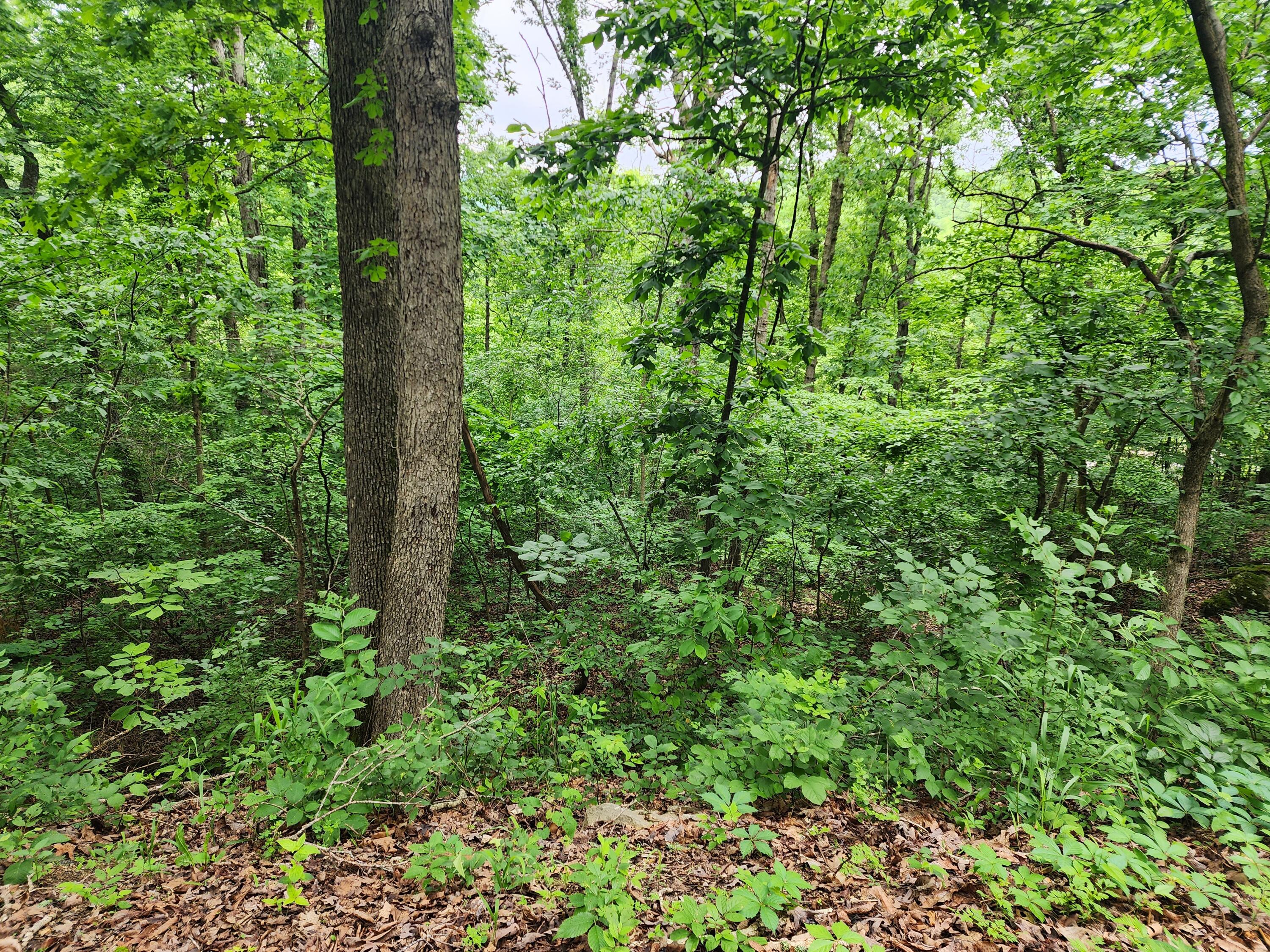 698 Hill Haven Road Property Photo 1