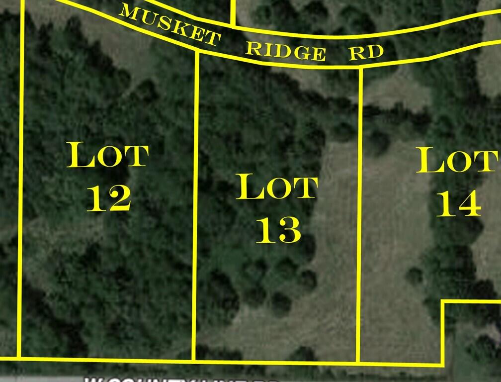 6948 West Musket Ridge Road Lot 13 Property Photo 2