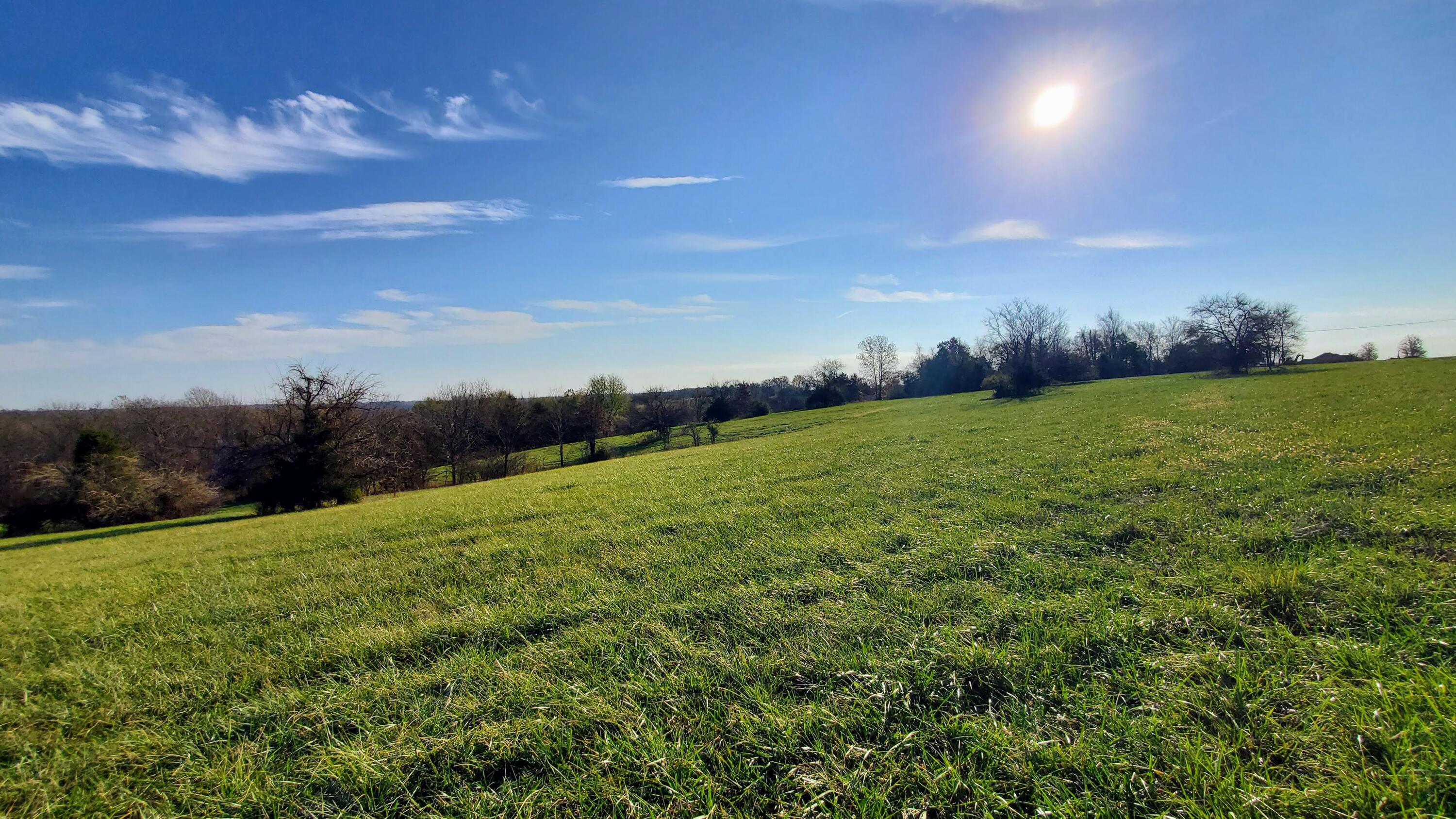 6536 South Barrel Boulevard Property Photo 4