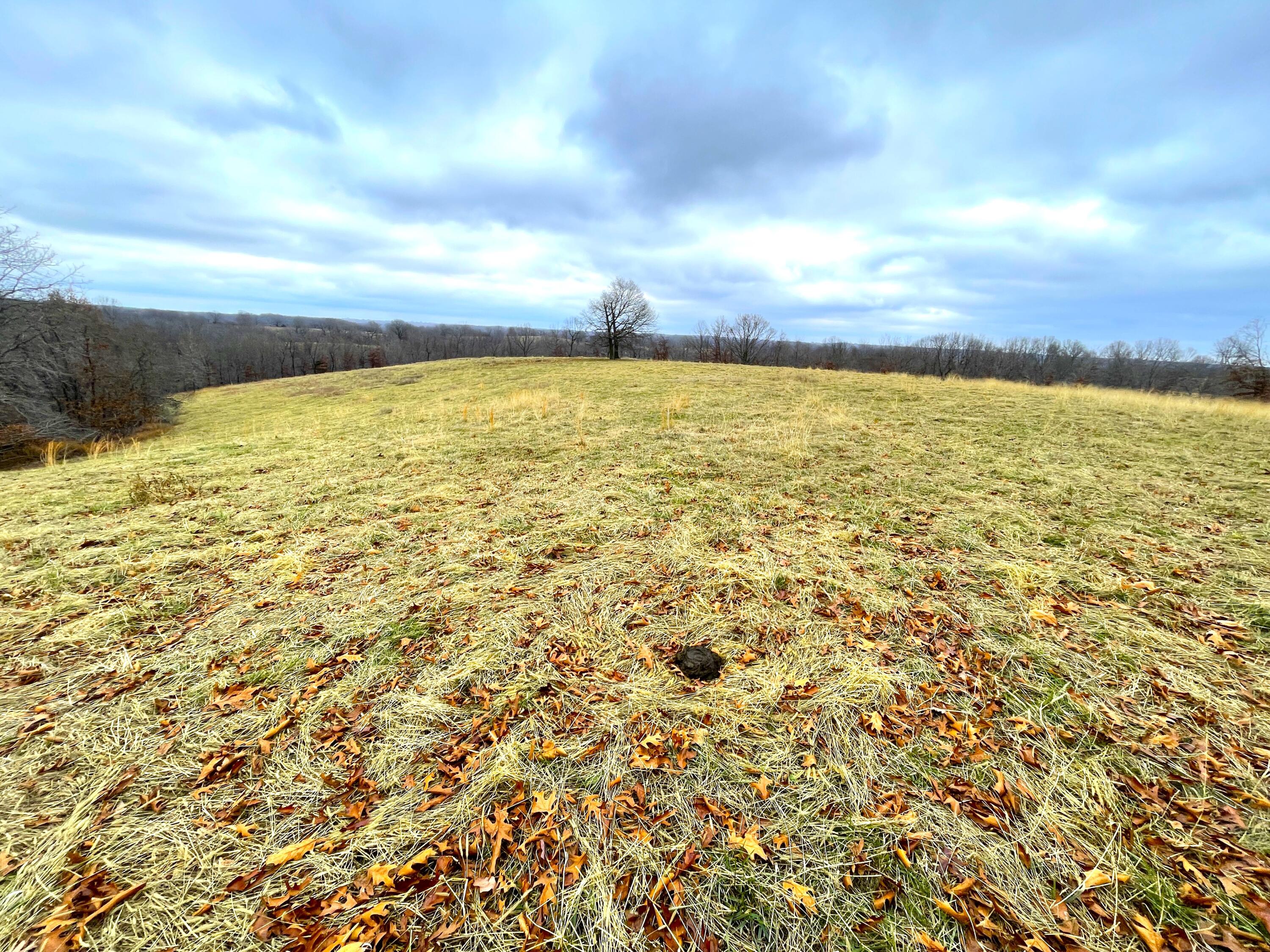 117 Acres Carlin Ridge Road Property Photo