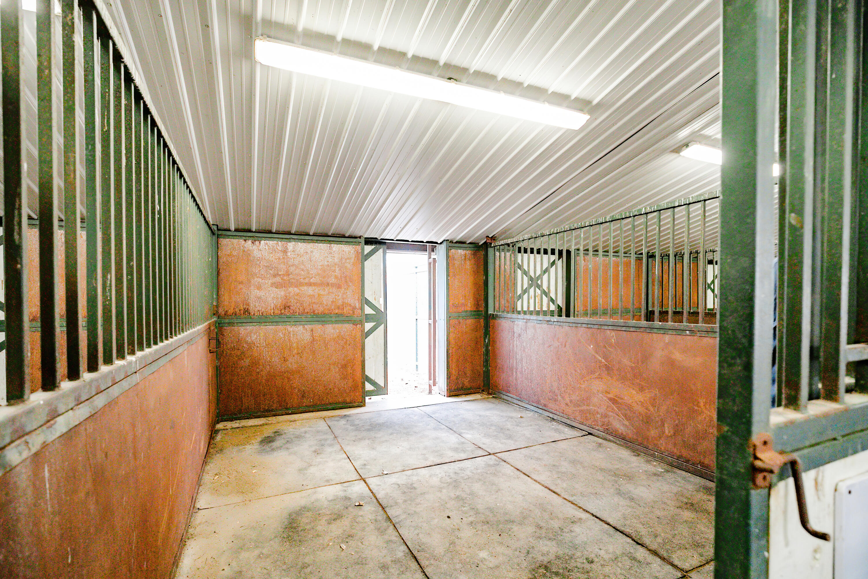 352 State Highway 245 Property Photo 74