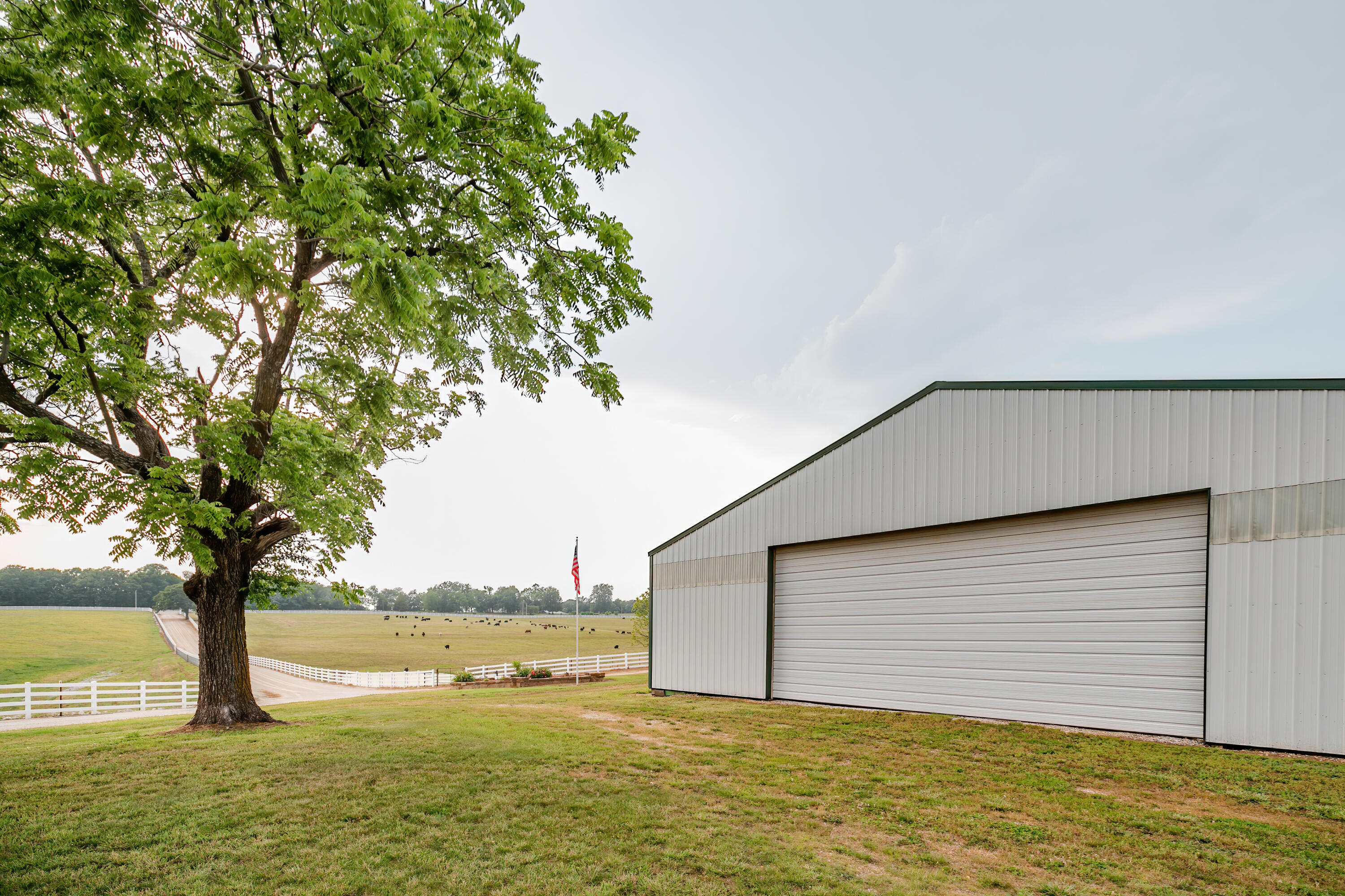 352 State Highway 245 Property Photo 100