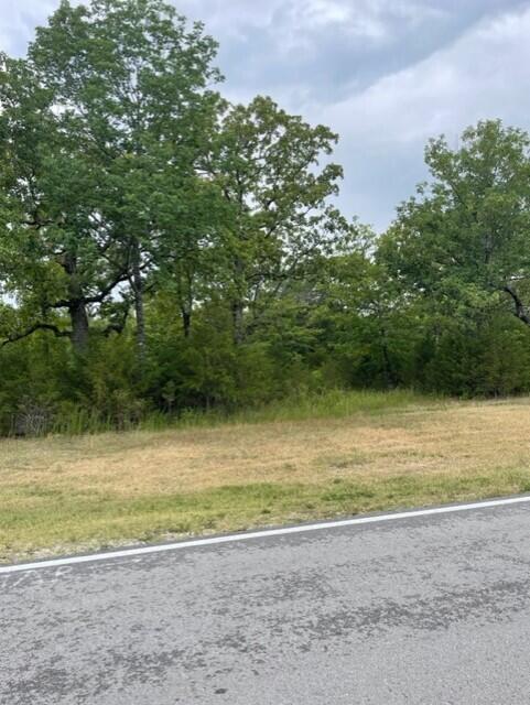 Lot # 129 Beechwood Drive Property Photo 6