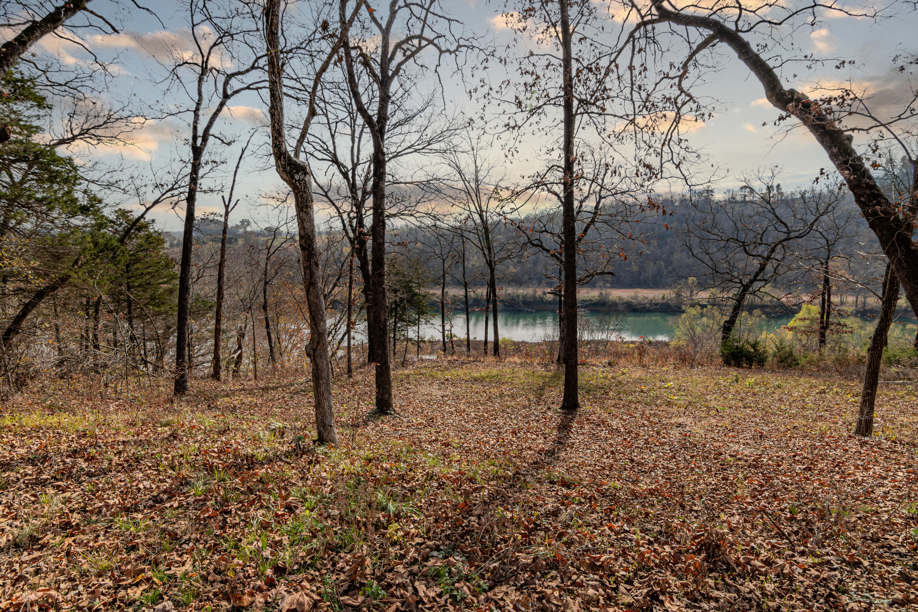 Lot 60 Terandy Bluff Property Photo