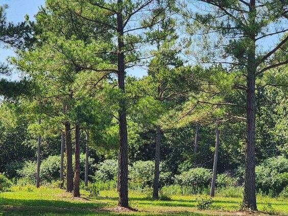 15125 Highway Aa Property Photo 1