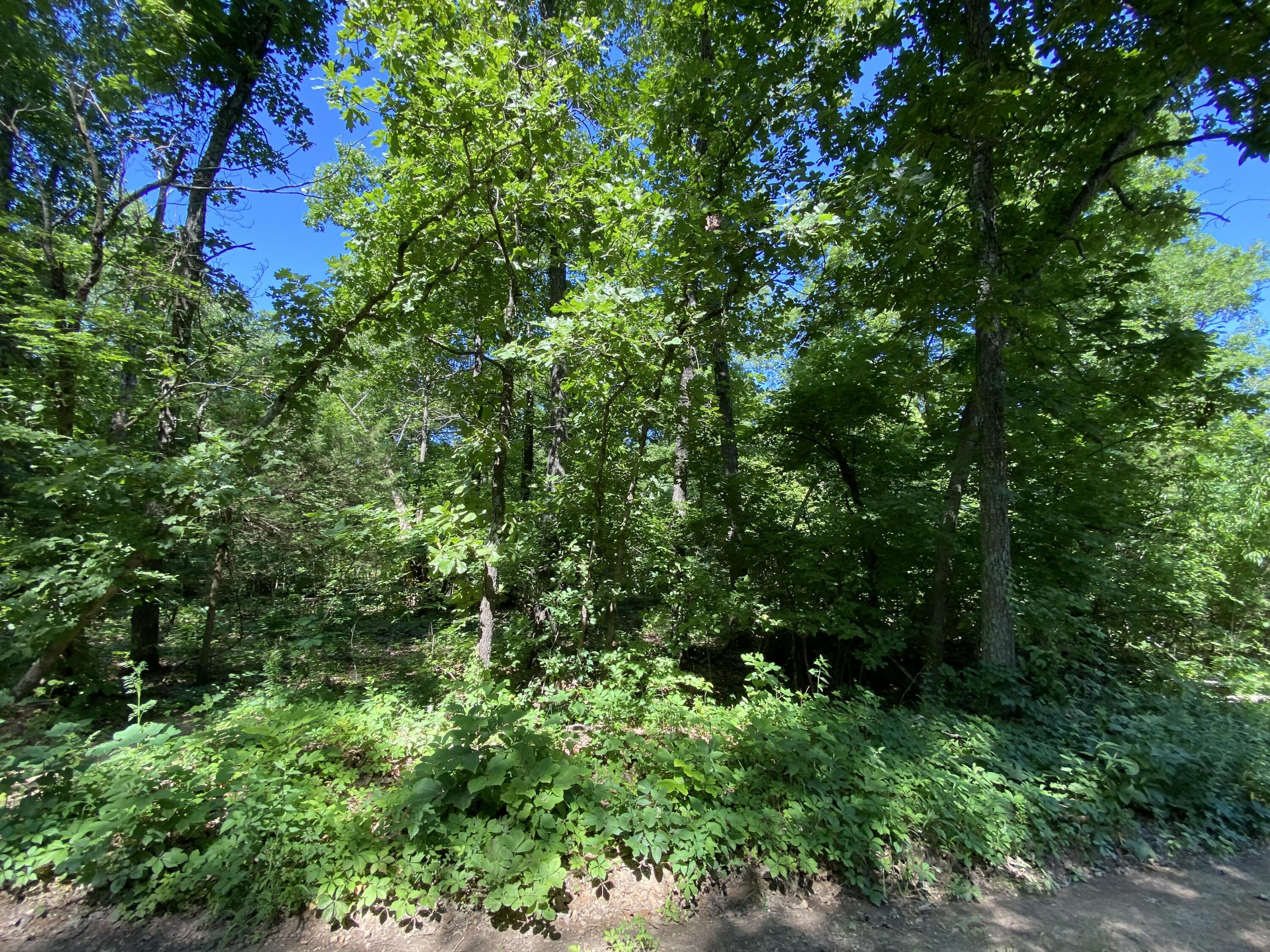 37 County Road 343 Property Photo 29