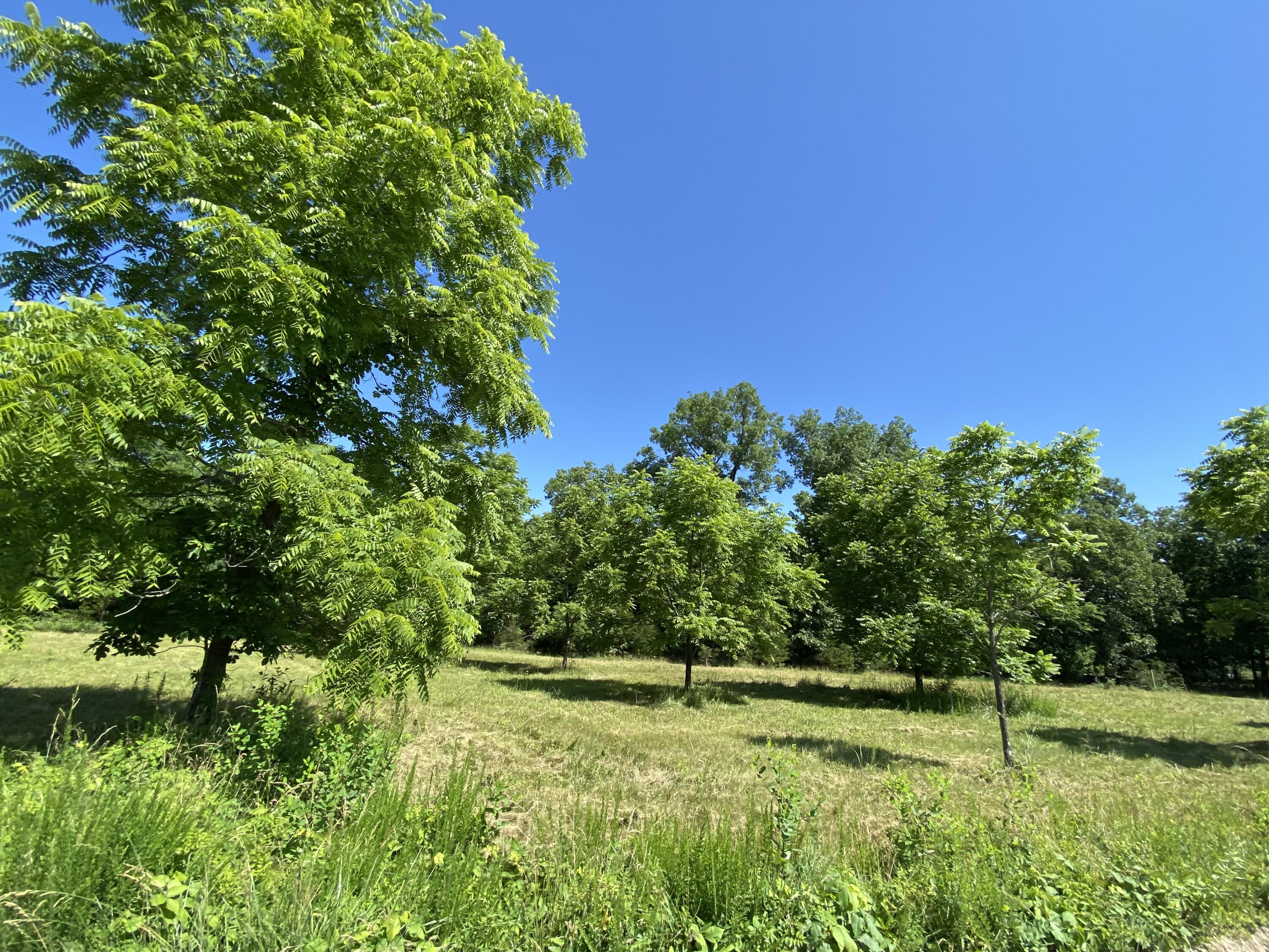 37 County Road 343 Property Photo 36