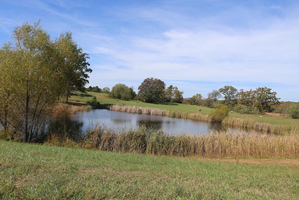2006 Big Deer Run Property Photo