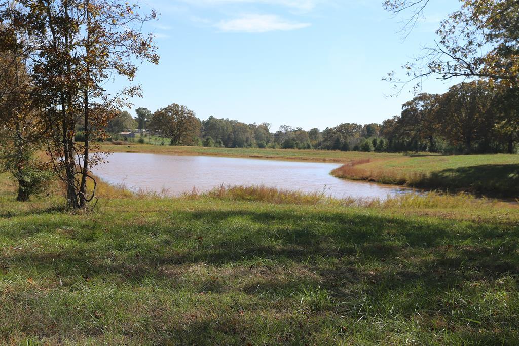 2006 Big Deer Property Photo