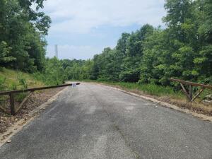 Lot 183 Syler Circle Emerald Point Property Photo 1