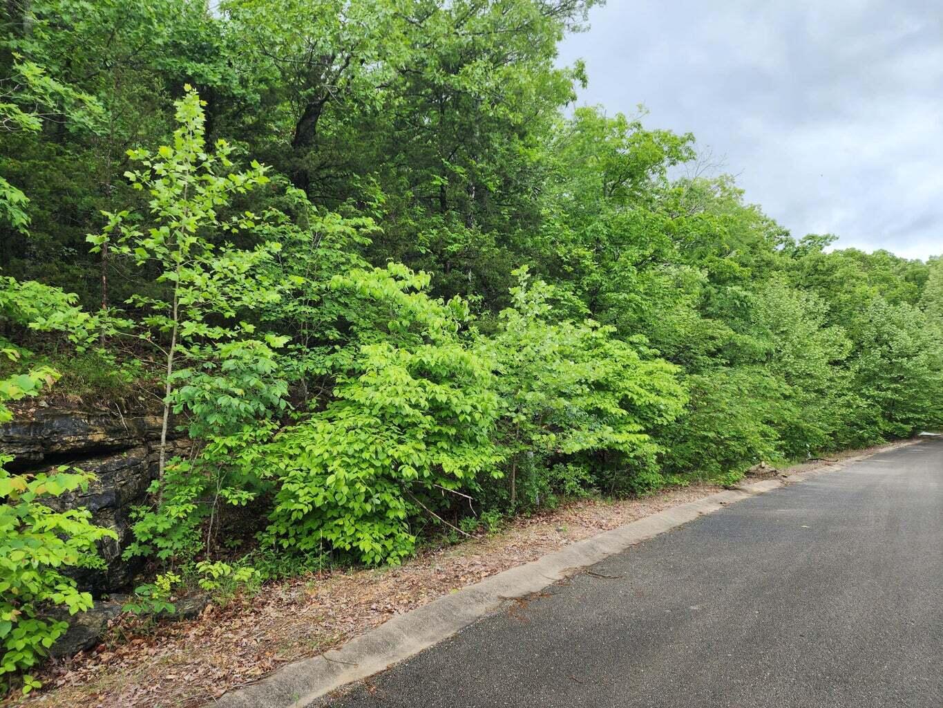 Lot 183 Syler Circle Emerald Point Property Photo 2