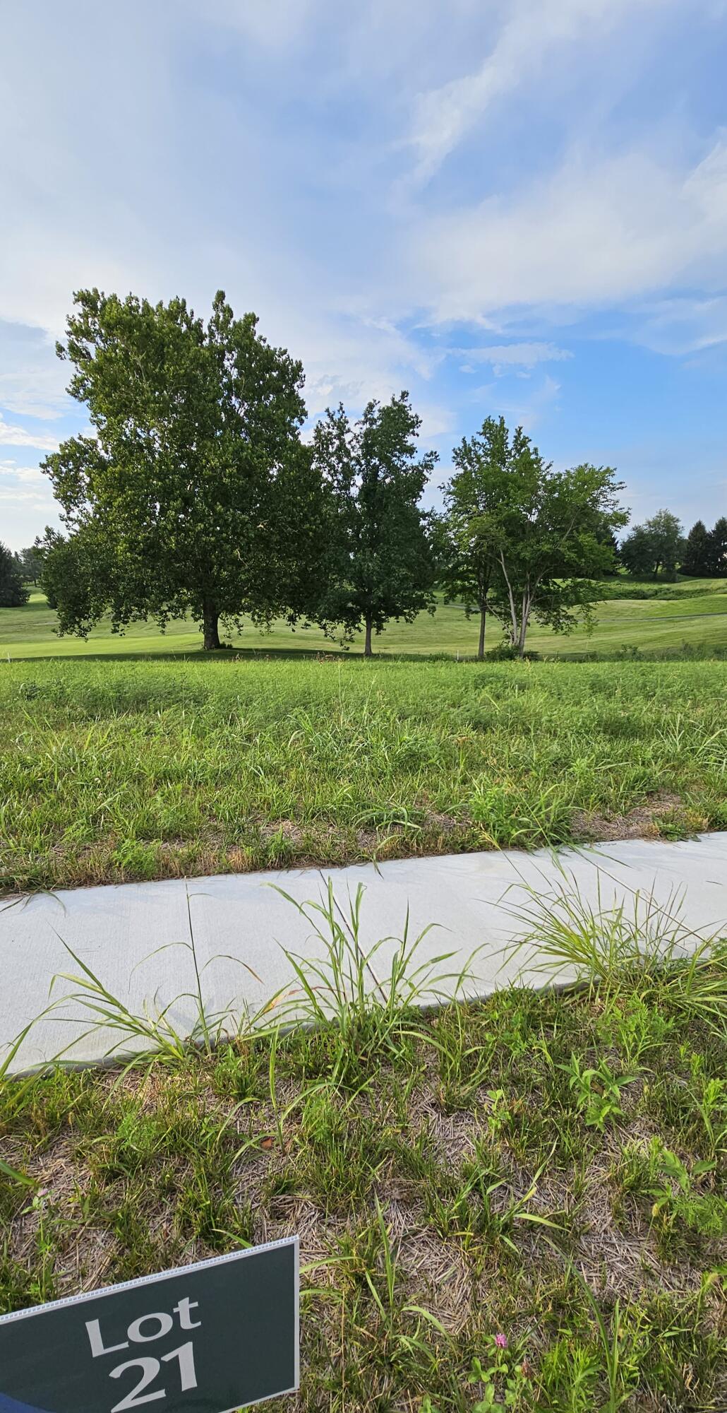 Lot 21 Highland Spring/vintage Pointe Property Photo 1