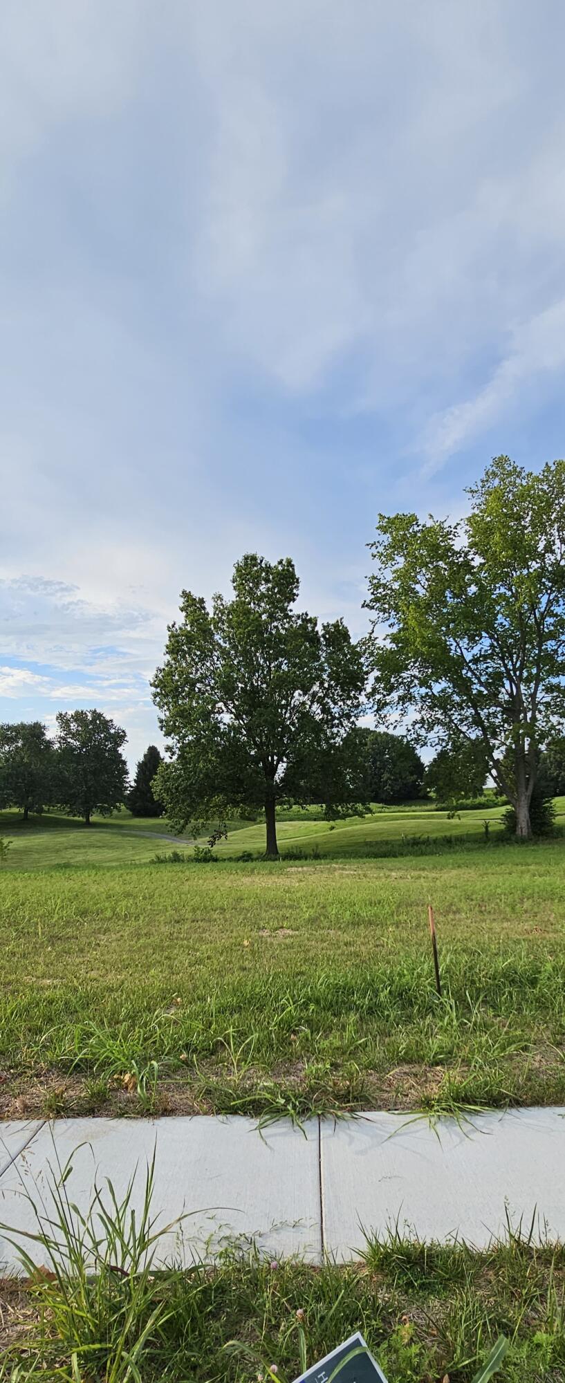 Lot 24 Highland Spring/Vintage Pointe Property Photo 1