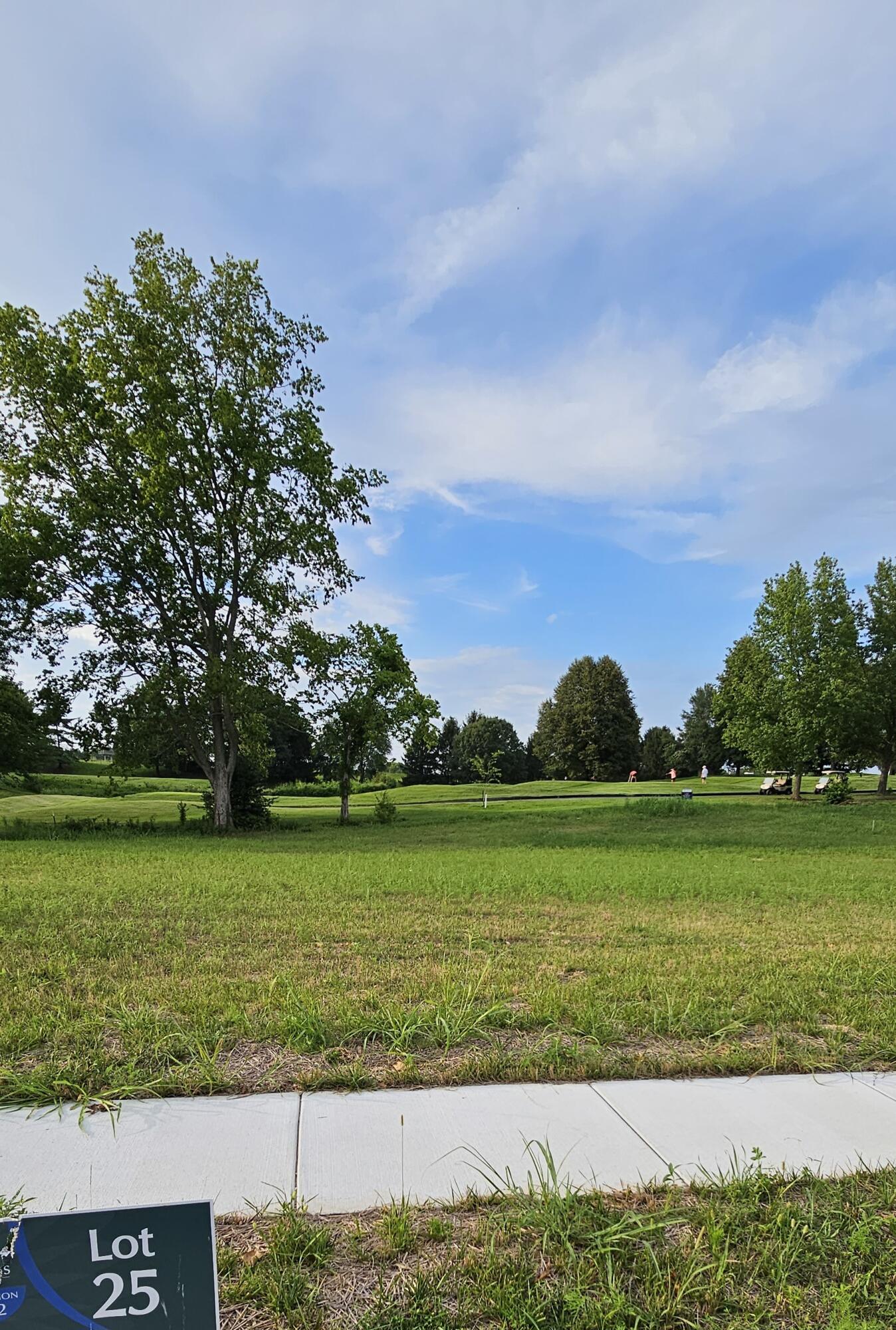 Lot 25 Highland Spring/Vintage Pointe Property Photo 1
