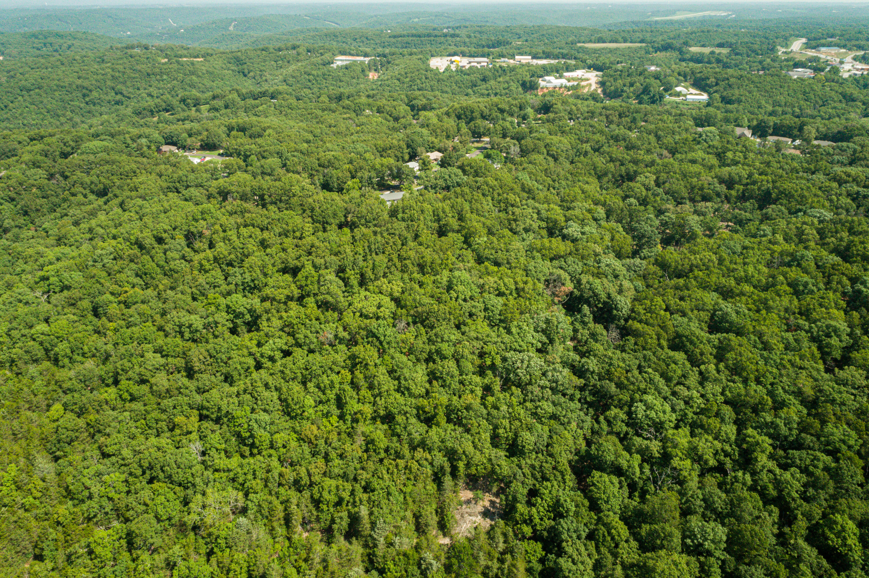 14 Acres Northwoods Drive Property Photo 5
