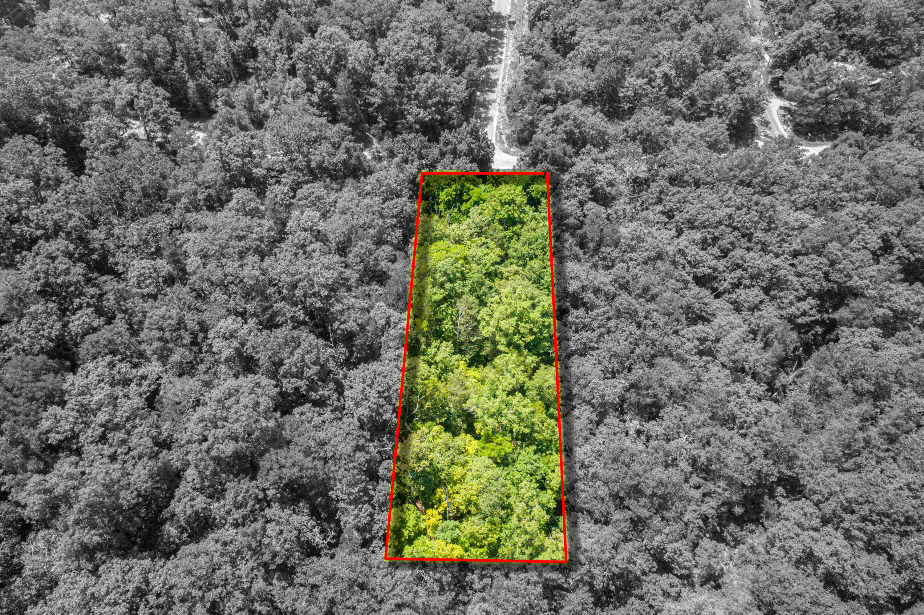 Tbd Pomme De Terre Road Property Photo 4