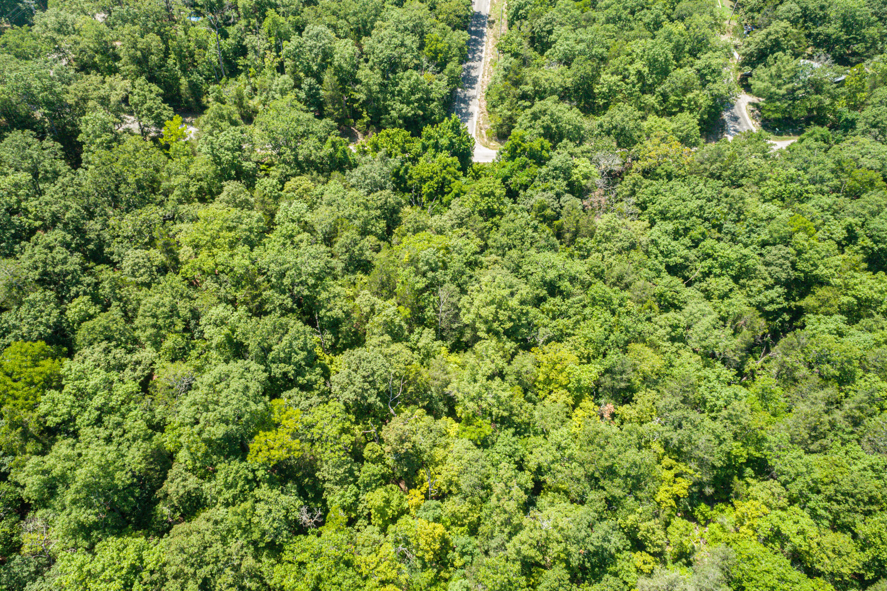 Tbd Pomme De Terre Road Property Photo 5