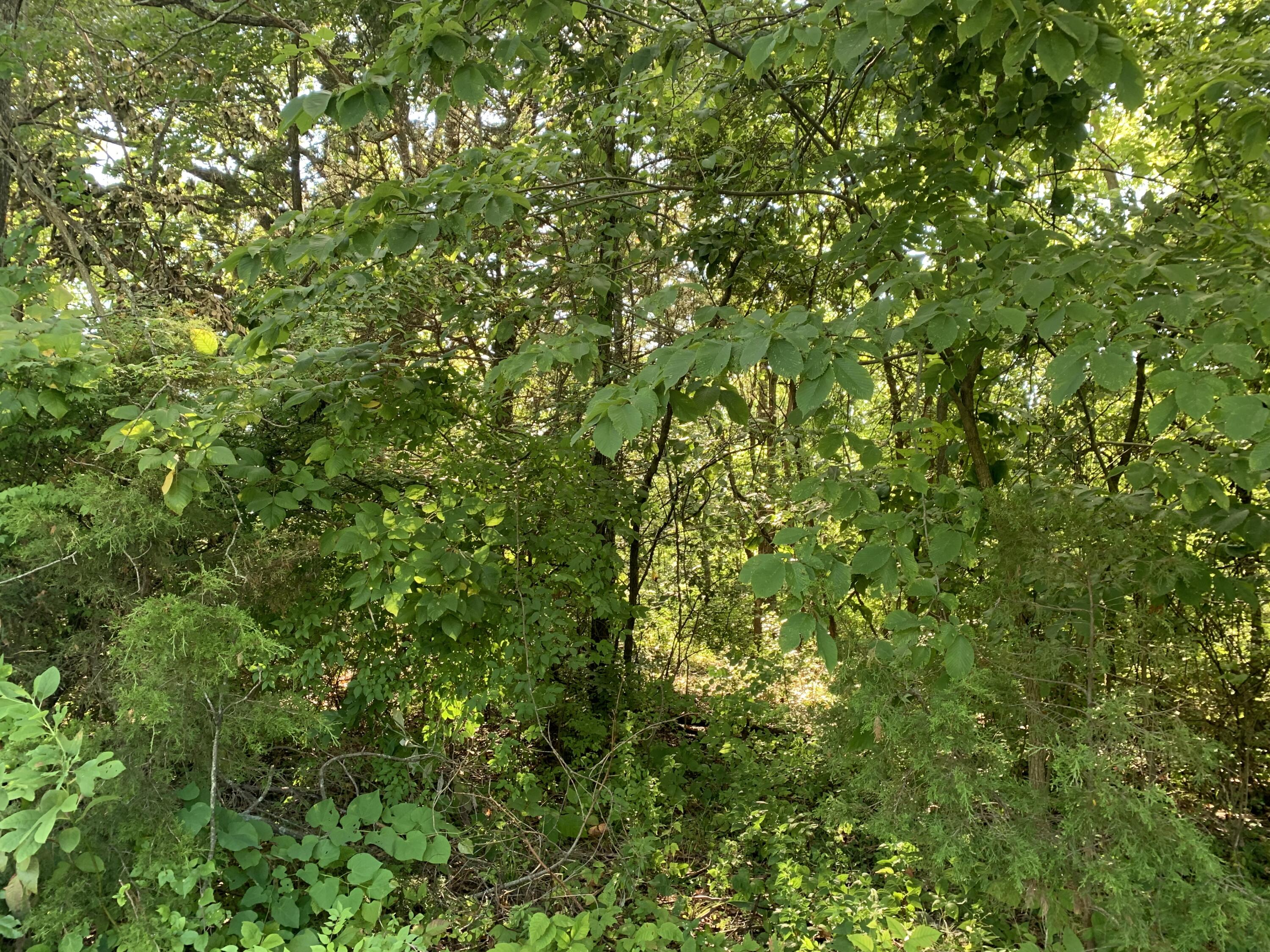 000 South Woodcliffe Drive Property Photo 10