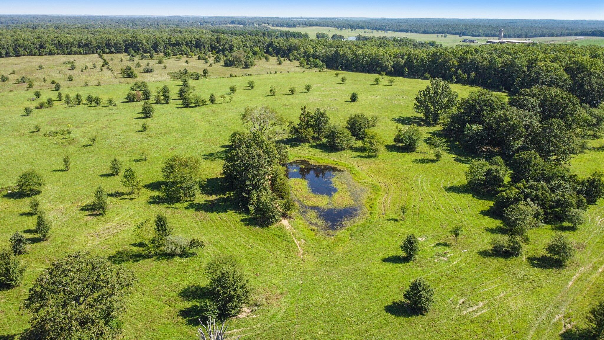 000 State Route 17 South Property Photo 5