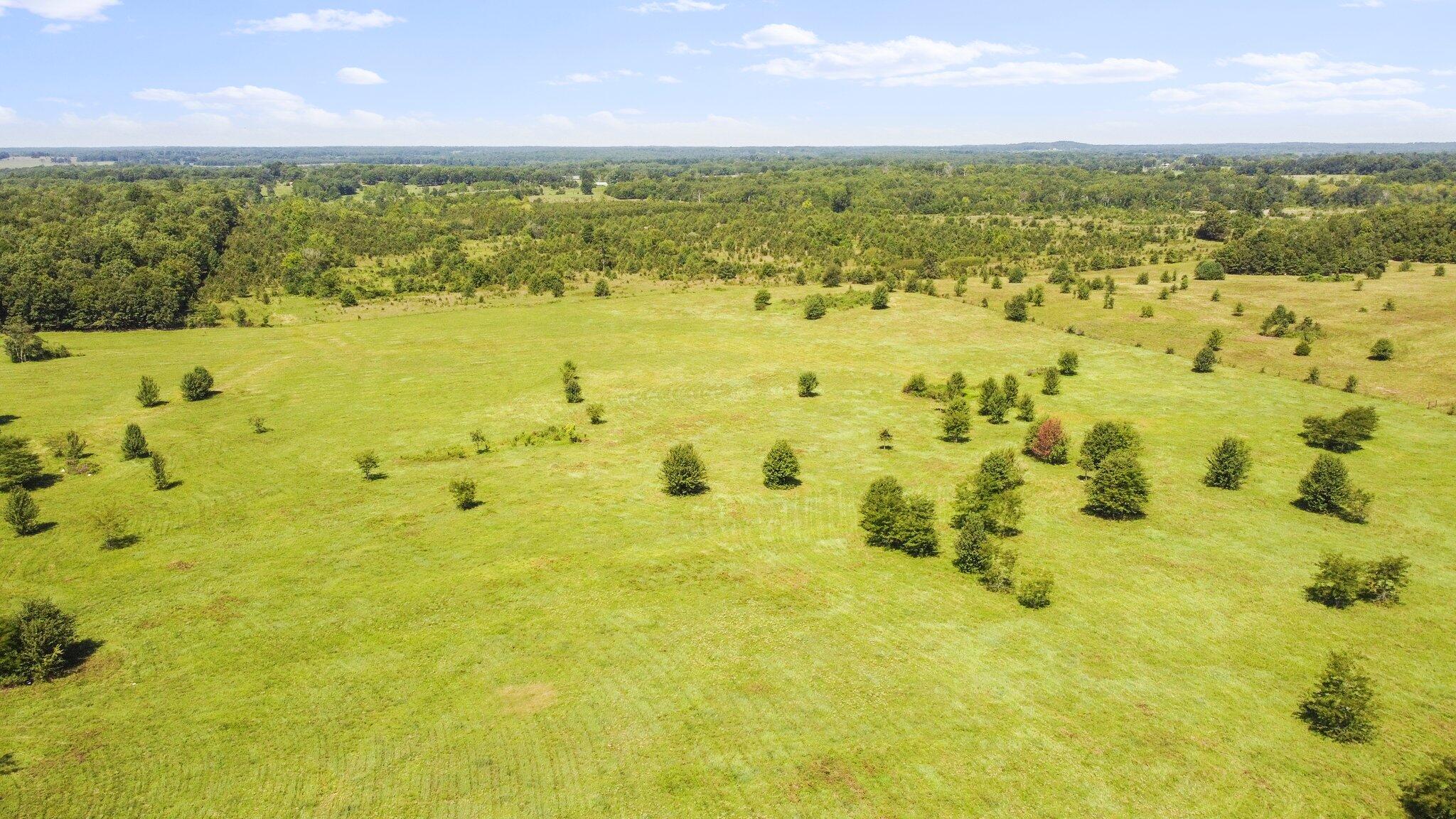 000 State Route 17 South Property Photo 9