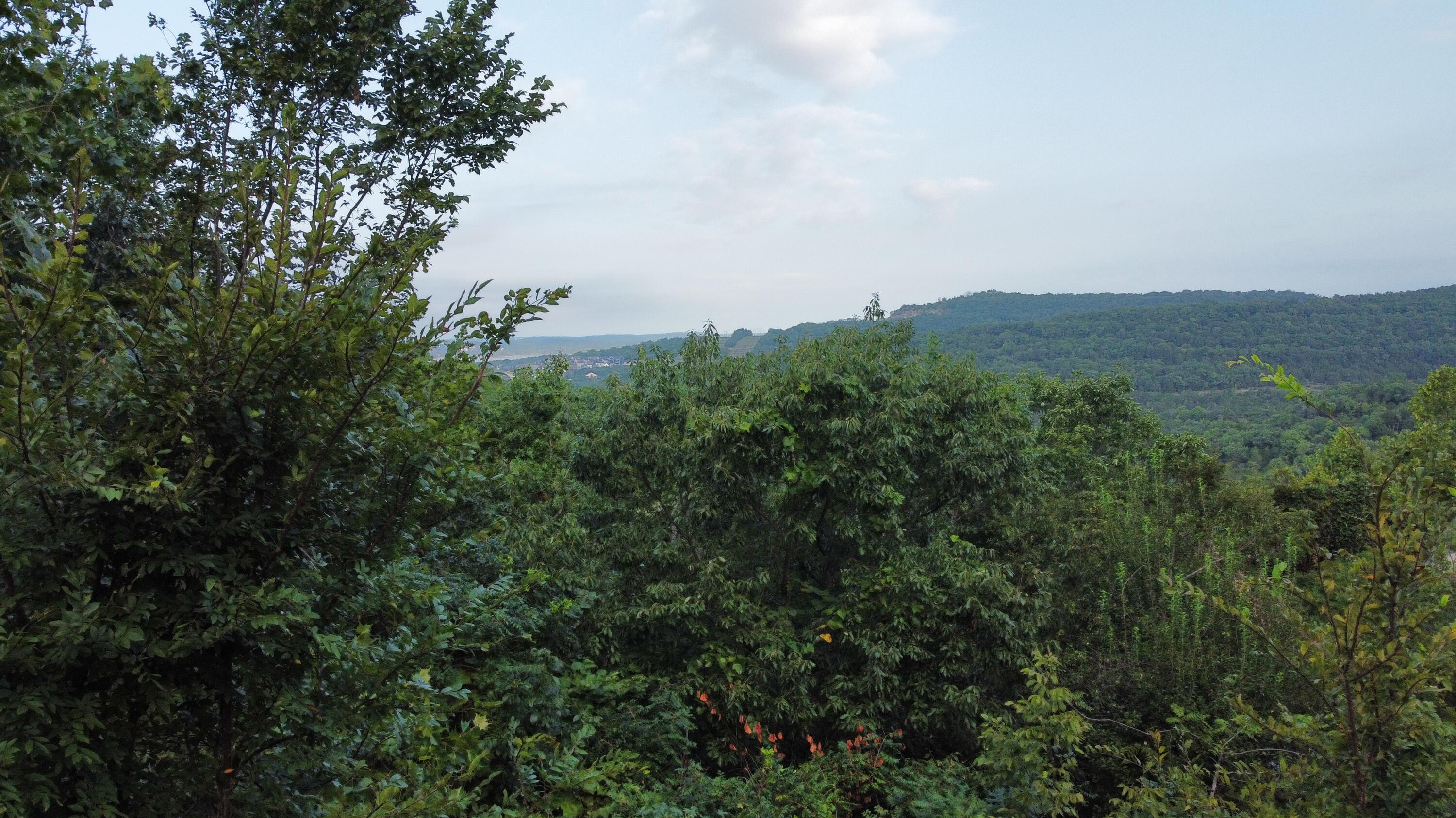 314 Flint Rock Court Property Photo 6