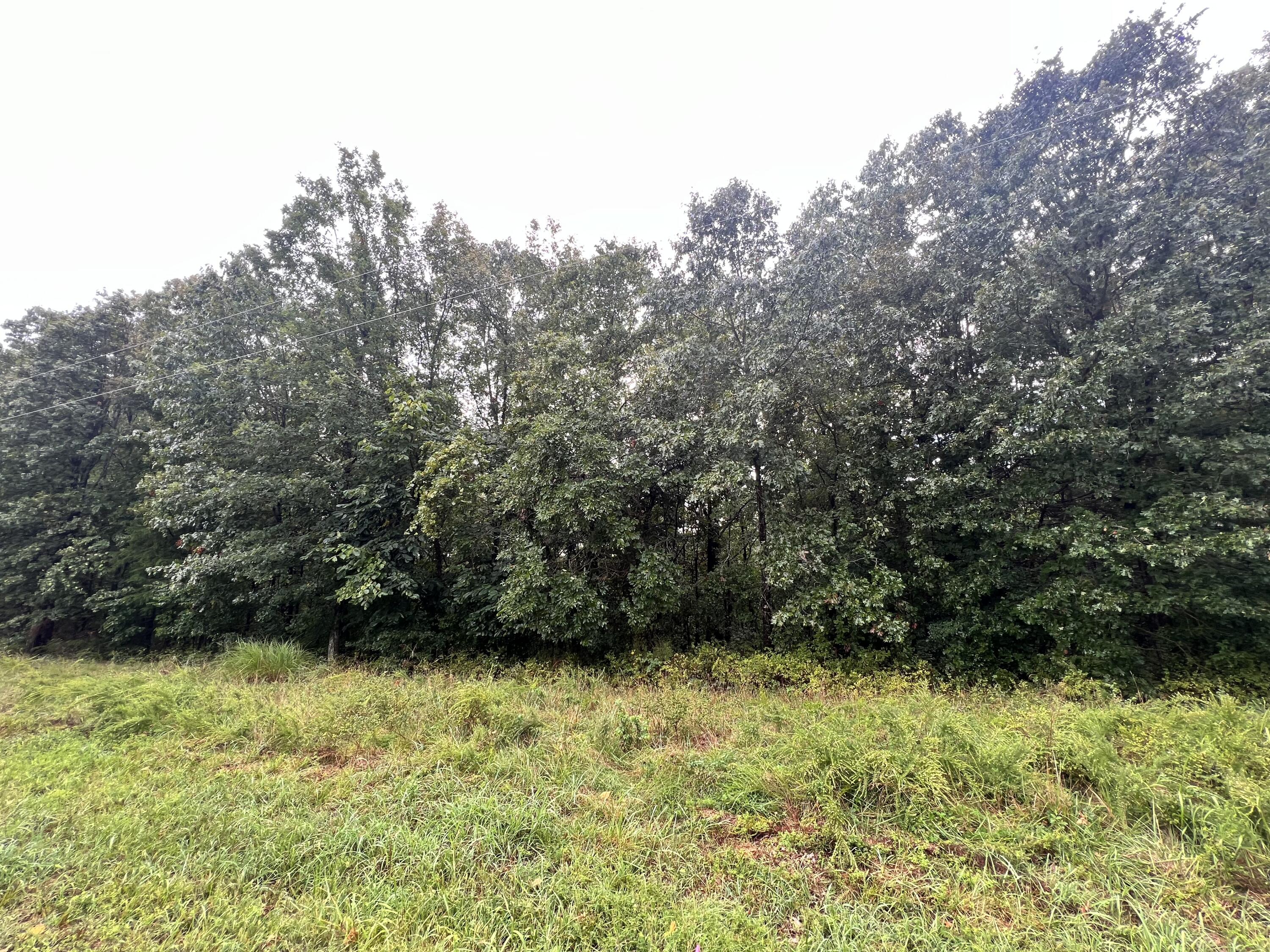 292 Walnut Springs Drive Property Photo