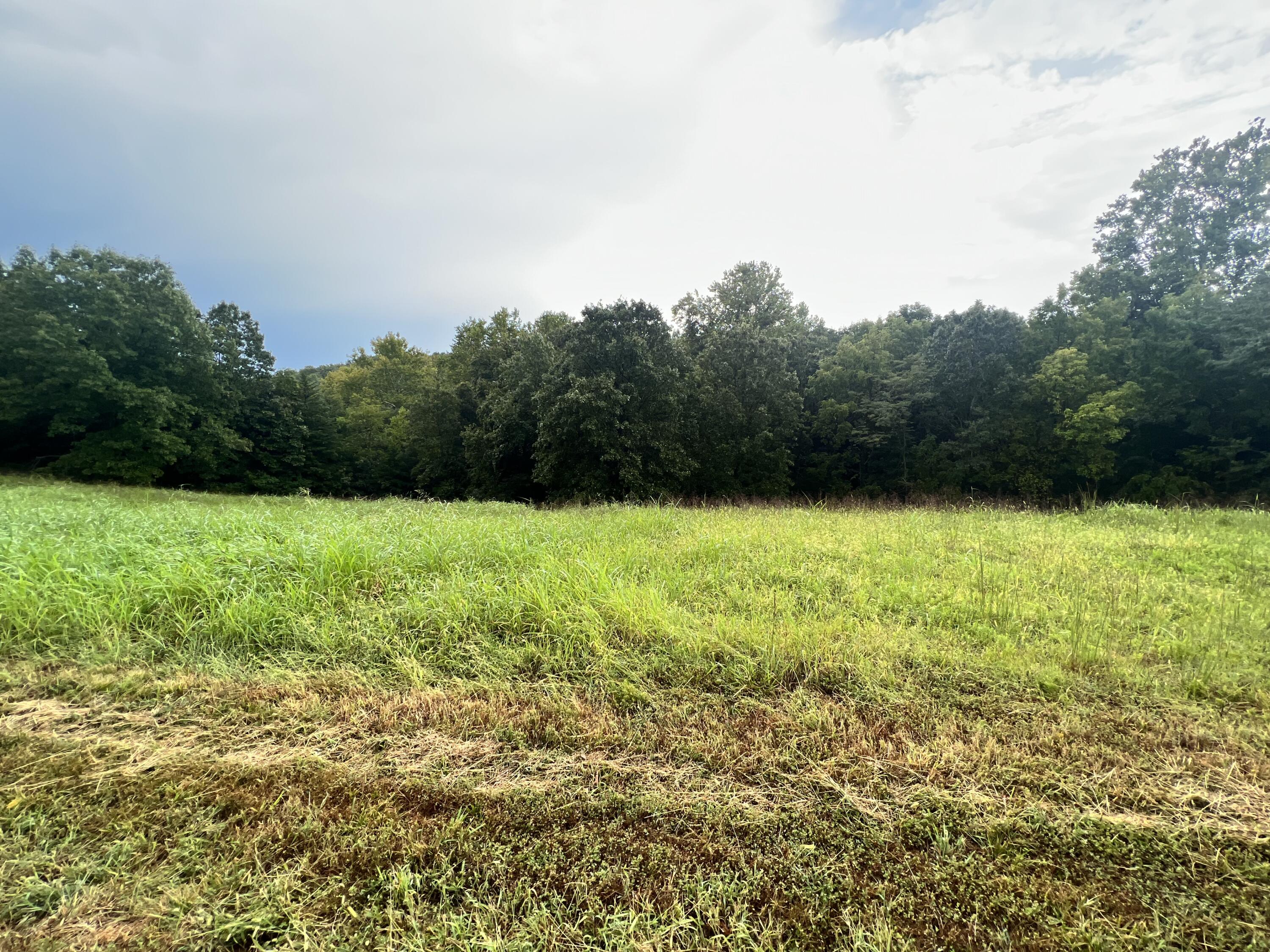 118 Panorama Drive Property Photo