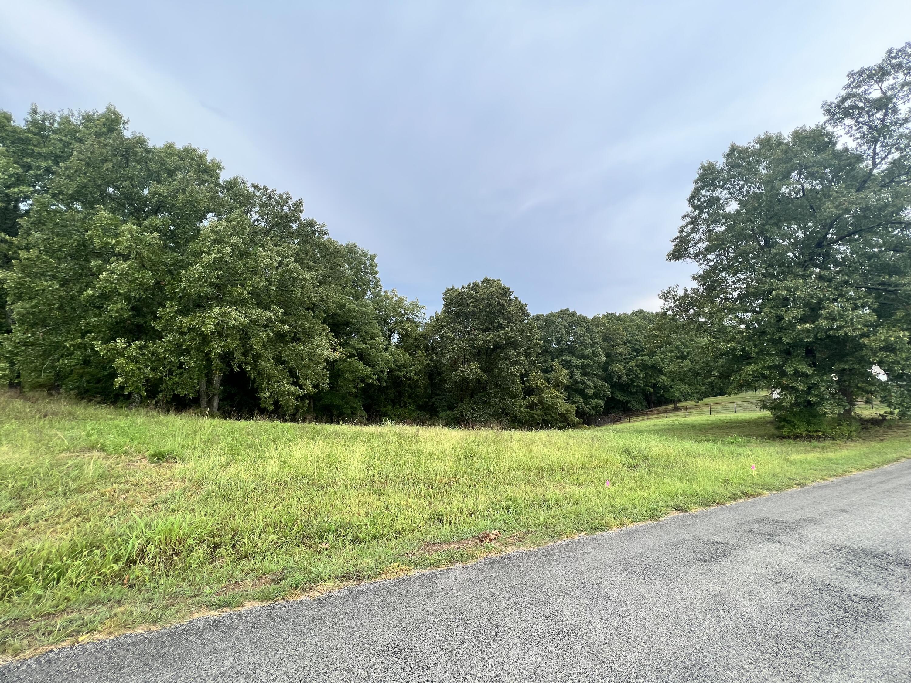 123 Panorama Drive Property Photo 2
