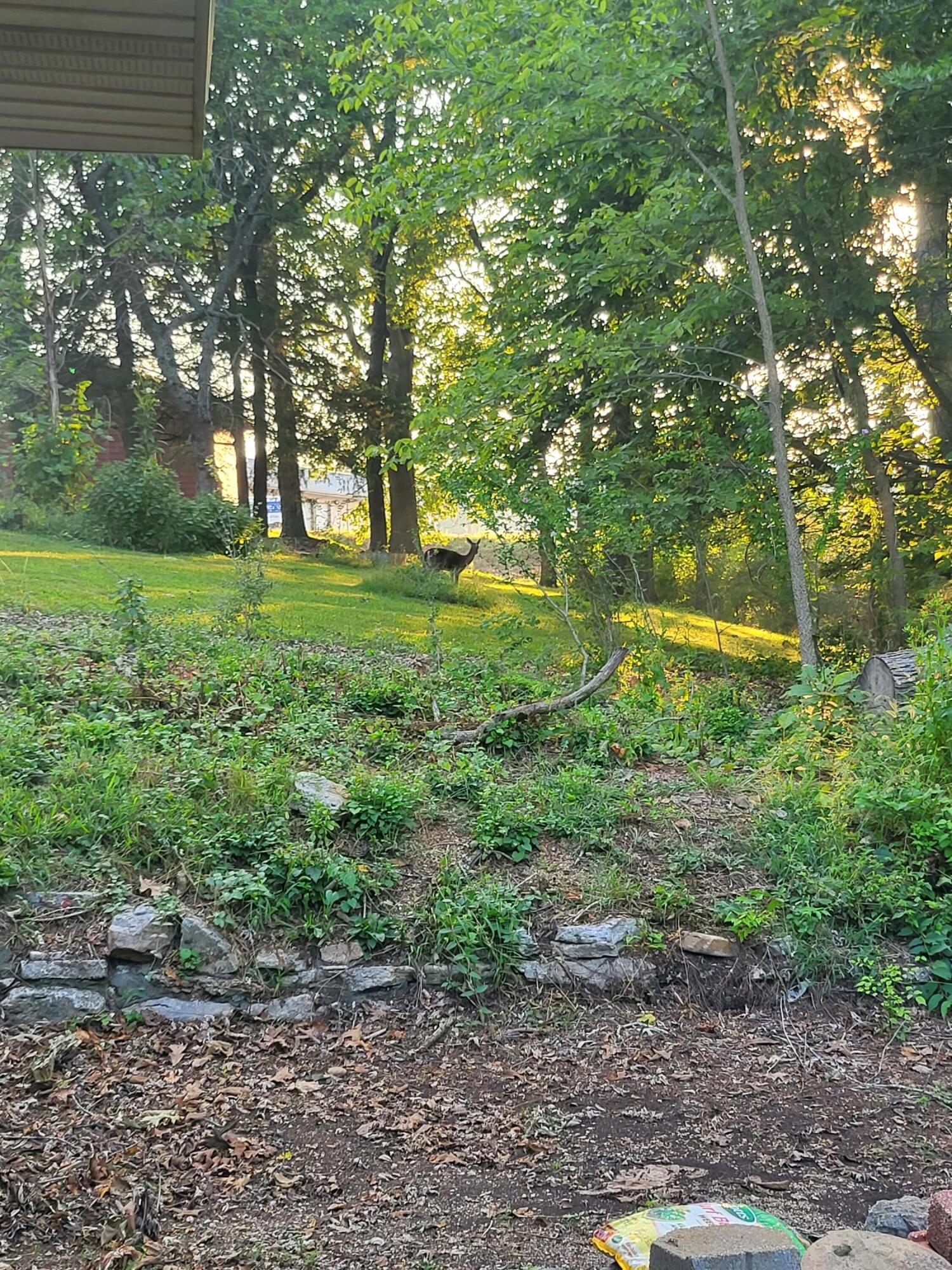 101 Secluded Ln Property Photo 30