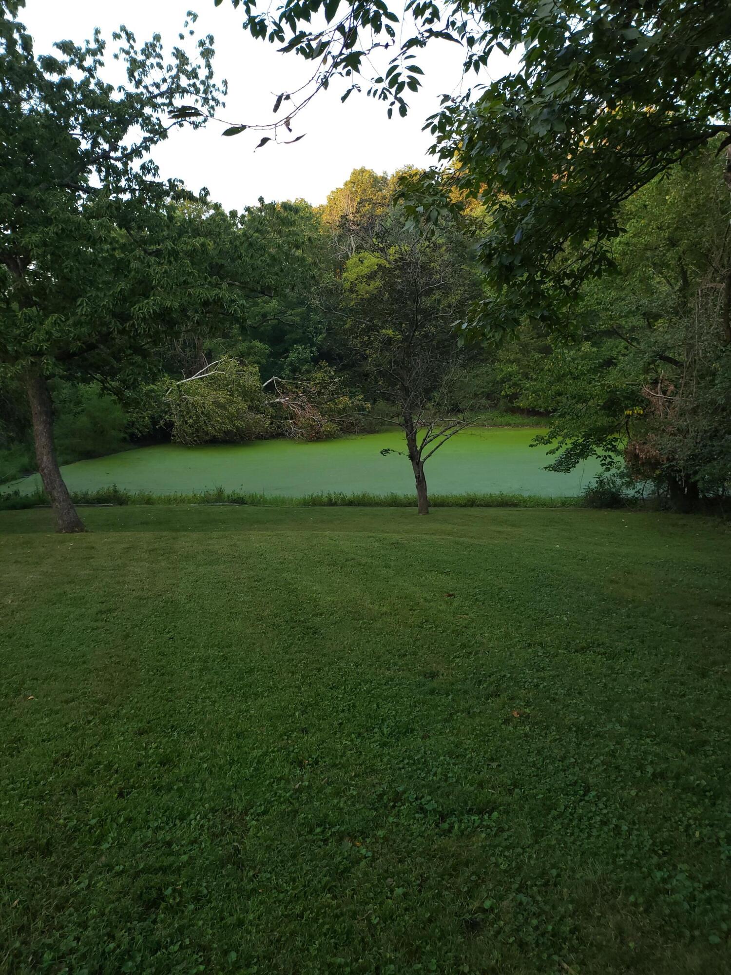 101 Secluded Ln Property Photo 33