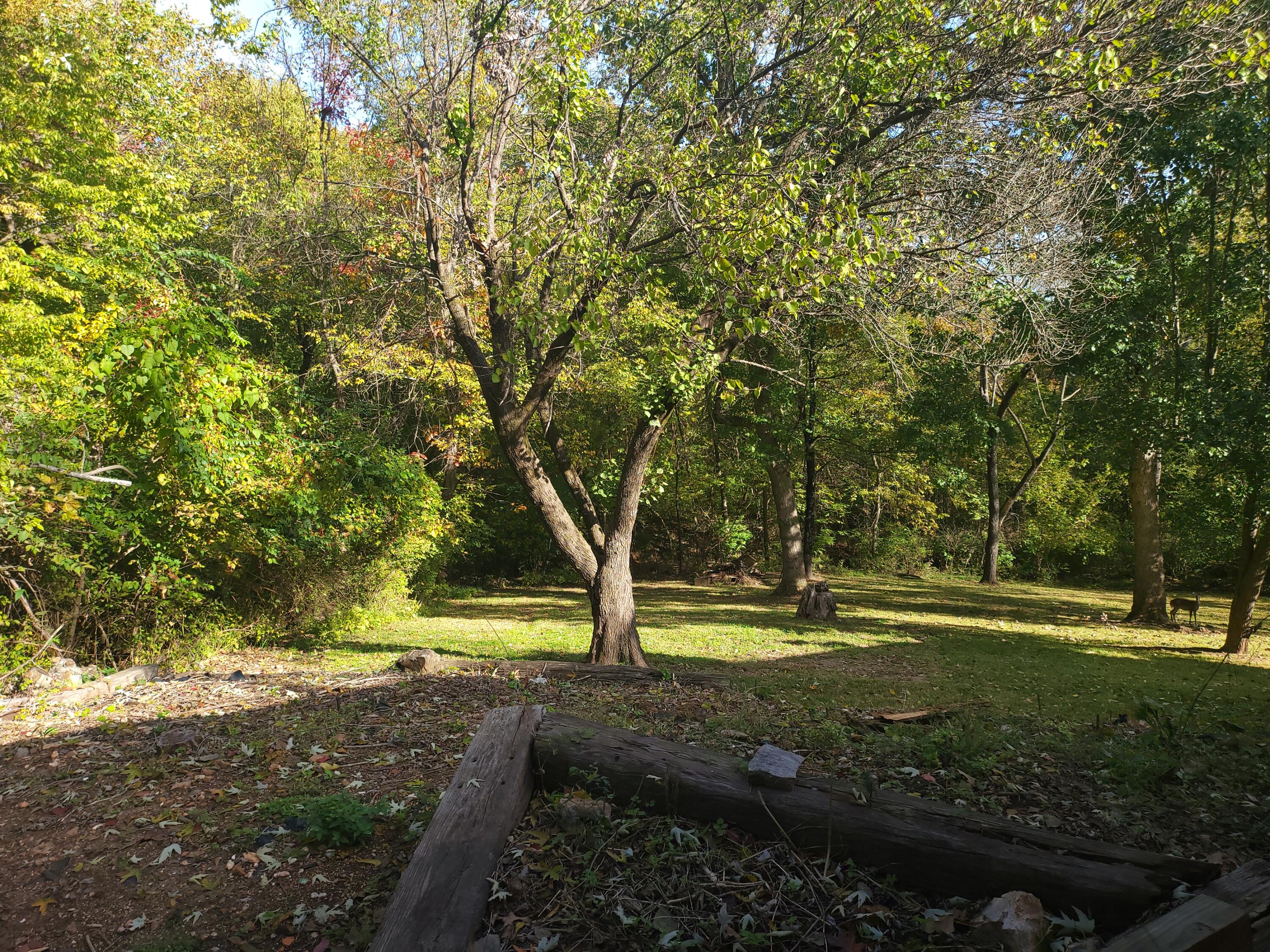 101 Secluded Ln Property Photo 39