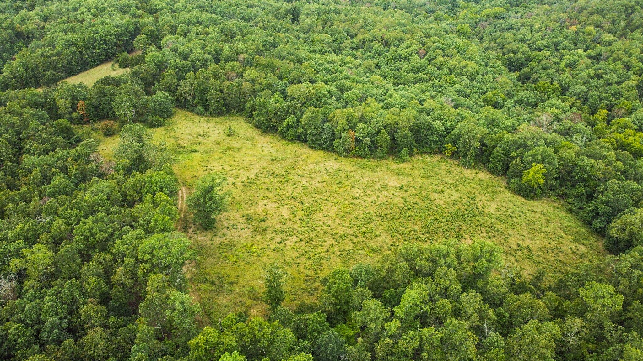 000 County Road 1990 Property Photo 6