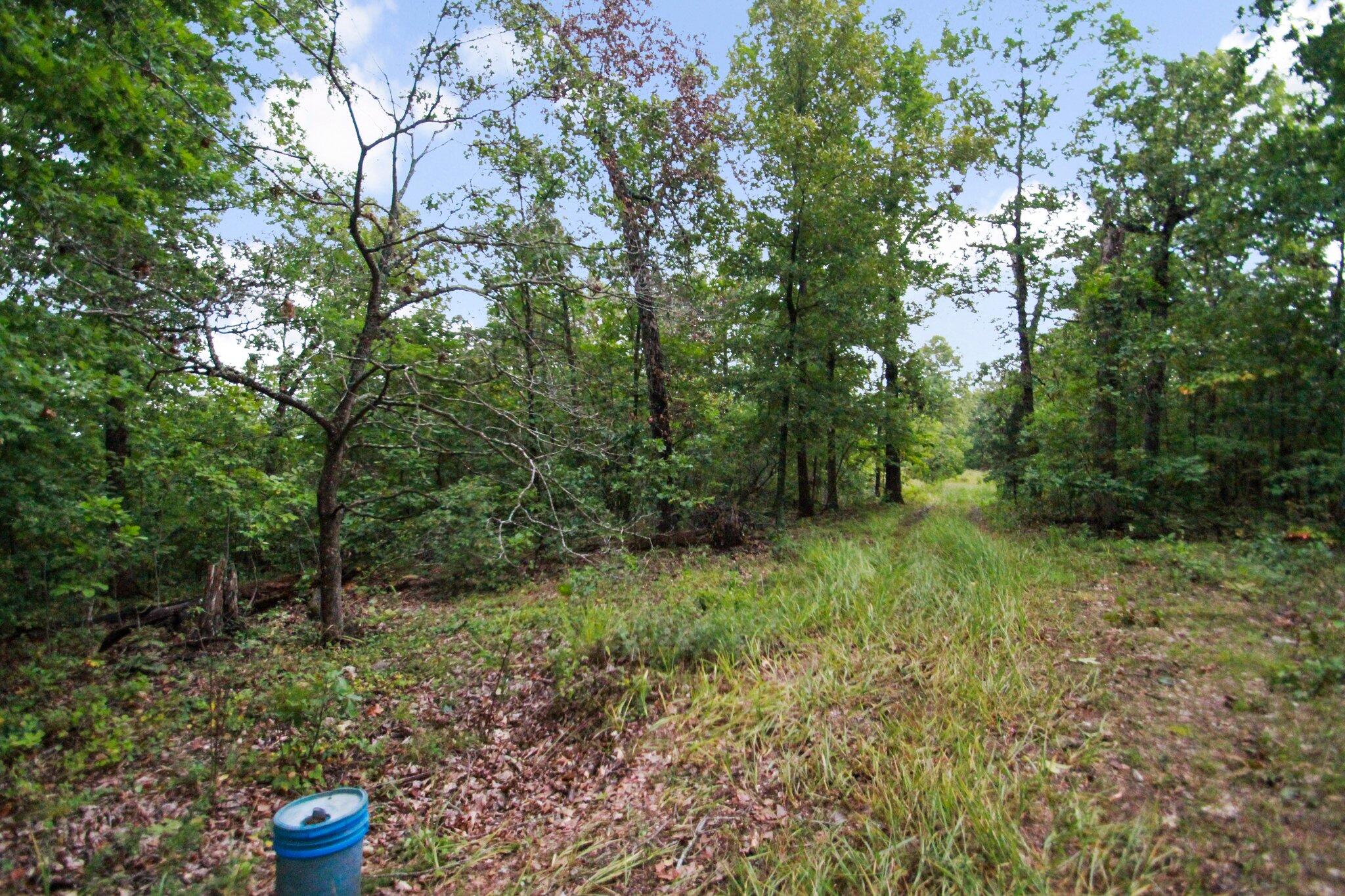 000 County Road 1990 Property Photo 29