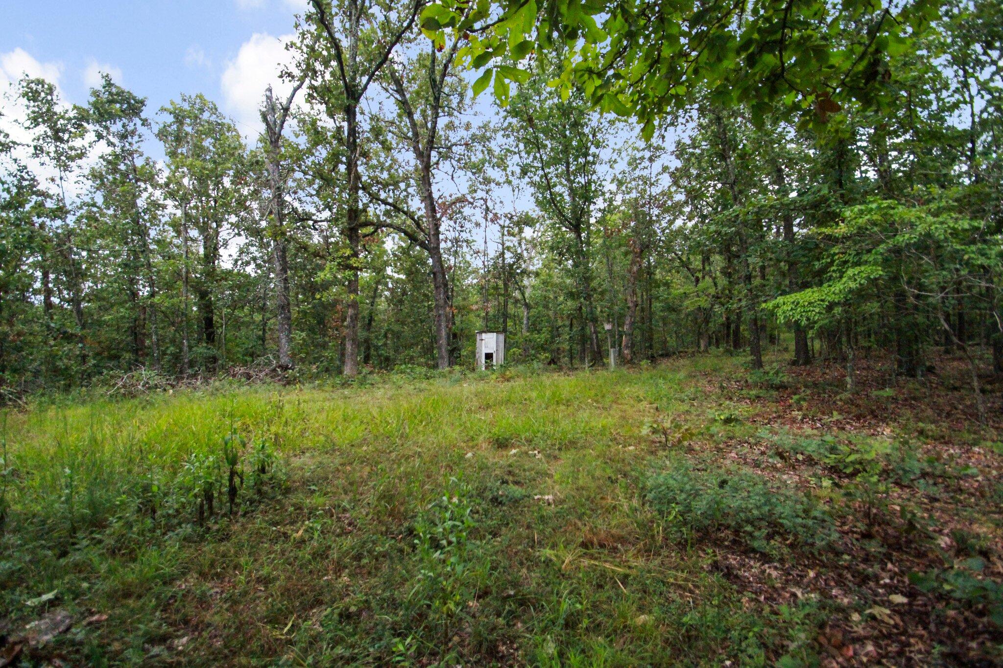 000 County Road 1990 Property Photo 31