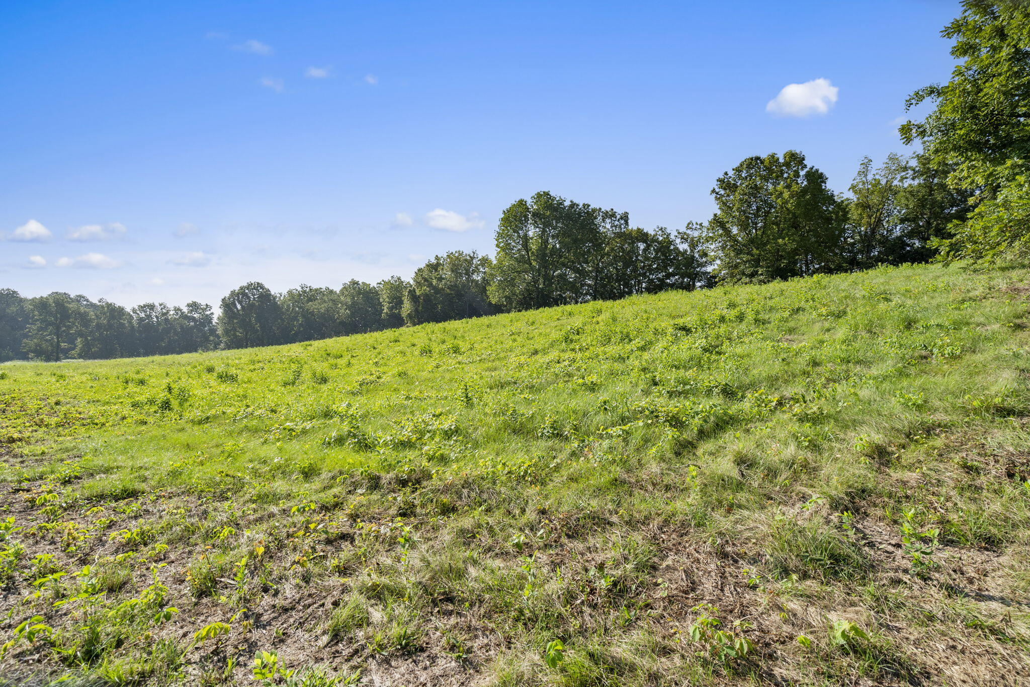 Lot A Farm Road 2005 Property Photo 5