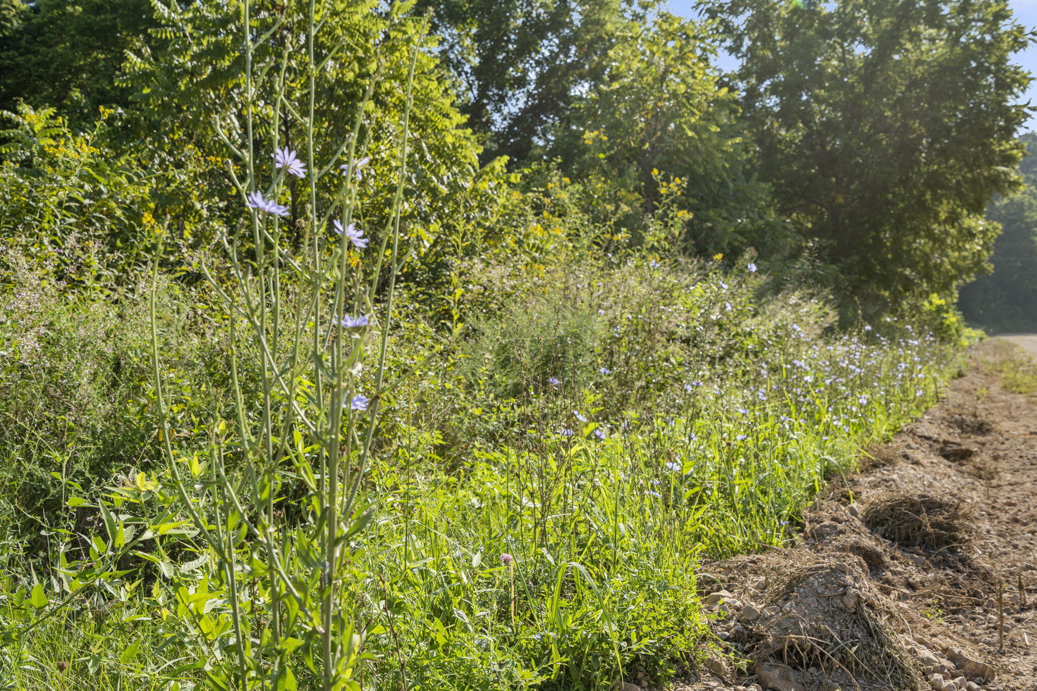Lot A Farm Road 2005 Property Photo 6