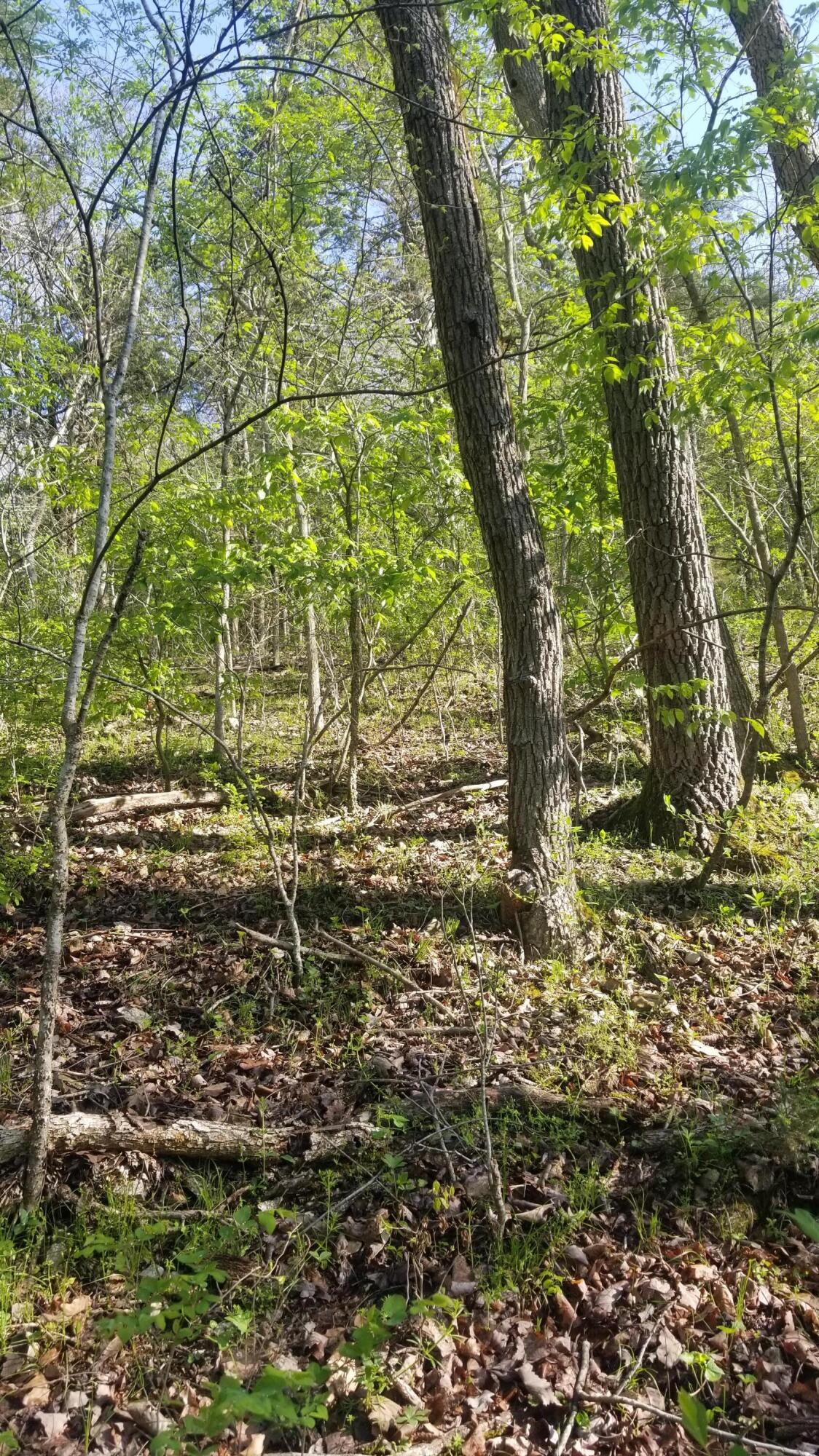 000 Rodeo Lane Property Photo 13