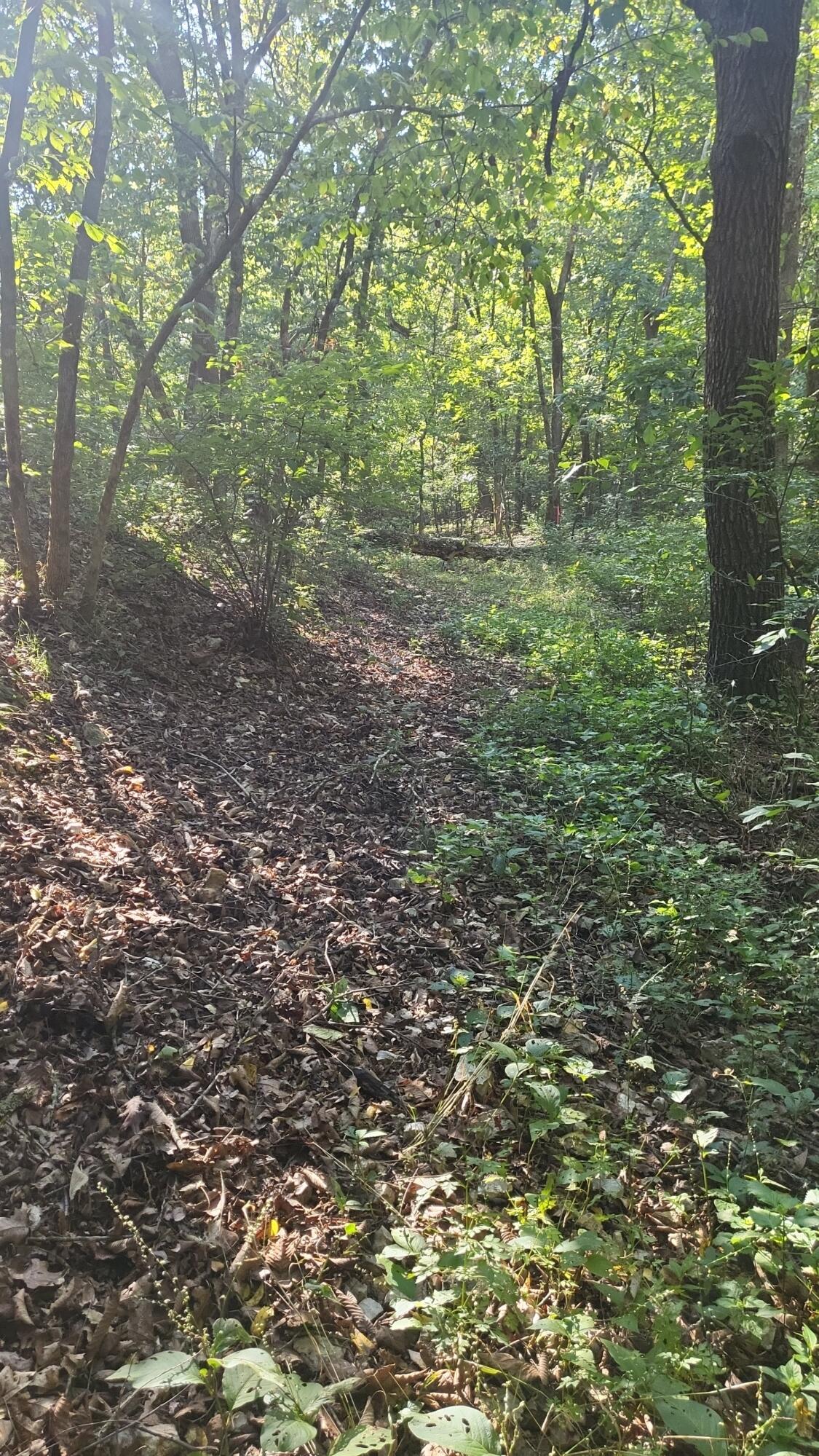 000 Rodeo Lane Property Photo 14