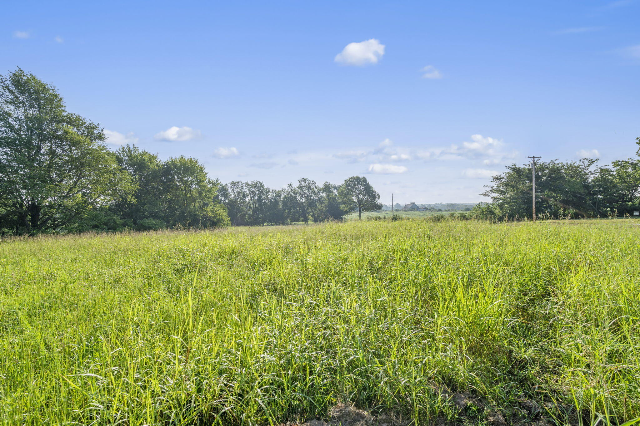 000 Shiloh Church Road Property Photo 3
