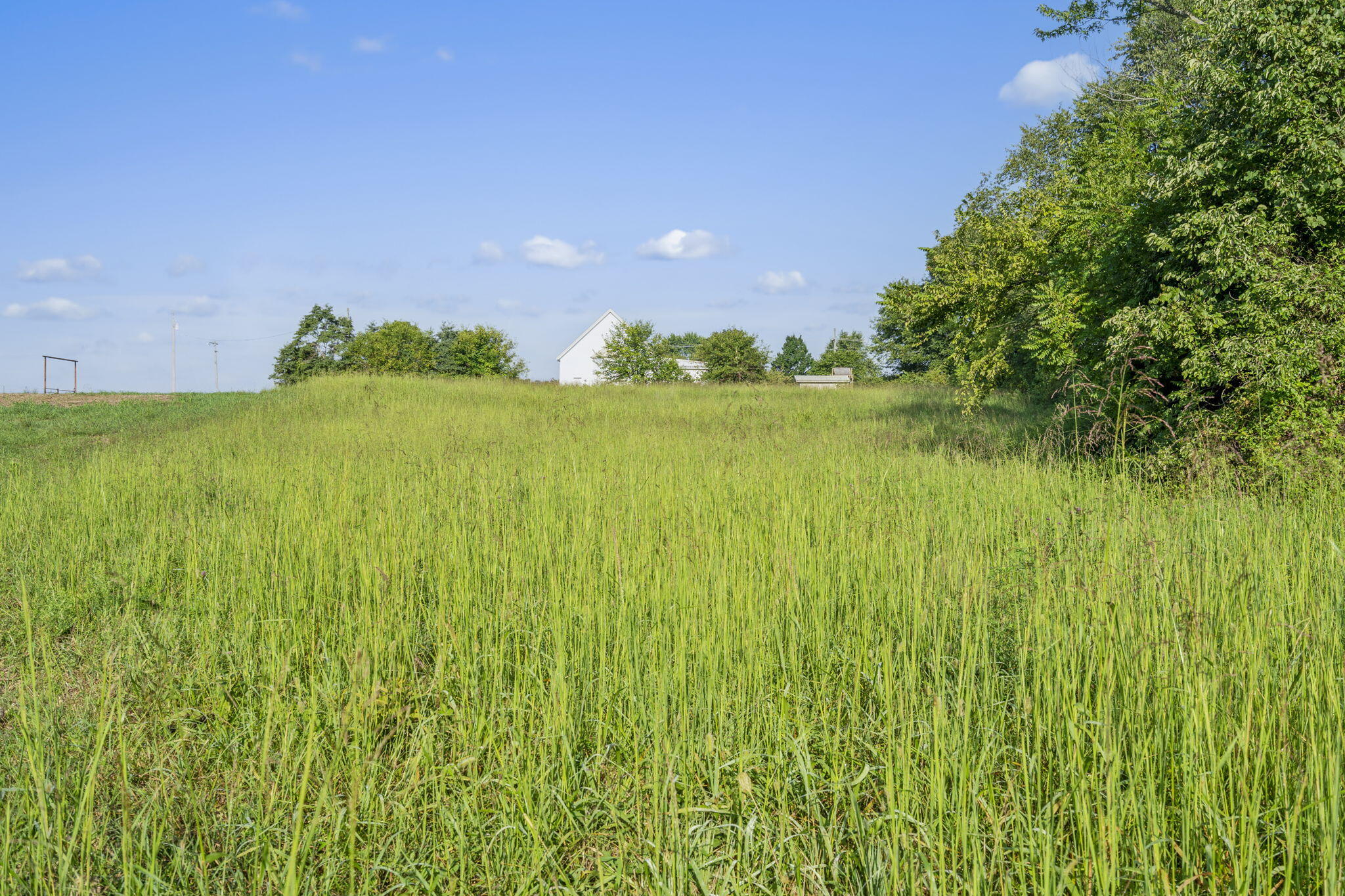 000 Shiloh Church Road Property Photo 4