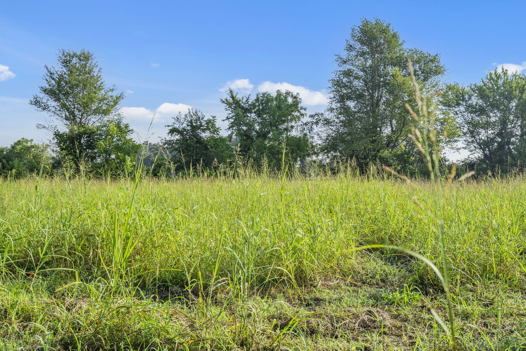 000 Shiloh Church Road Property Photo 11
