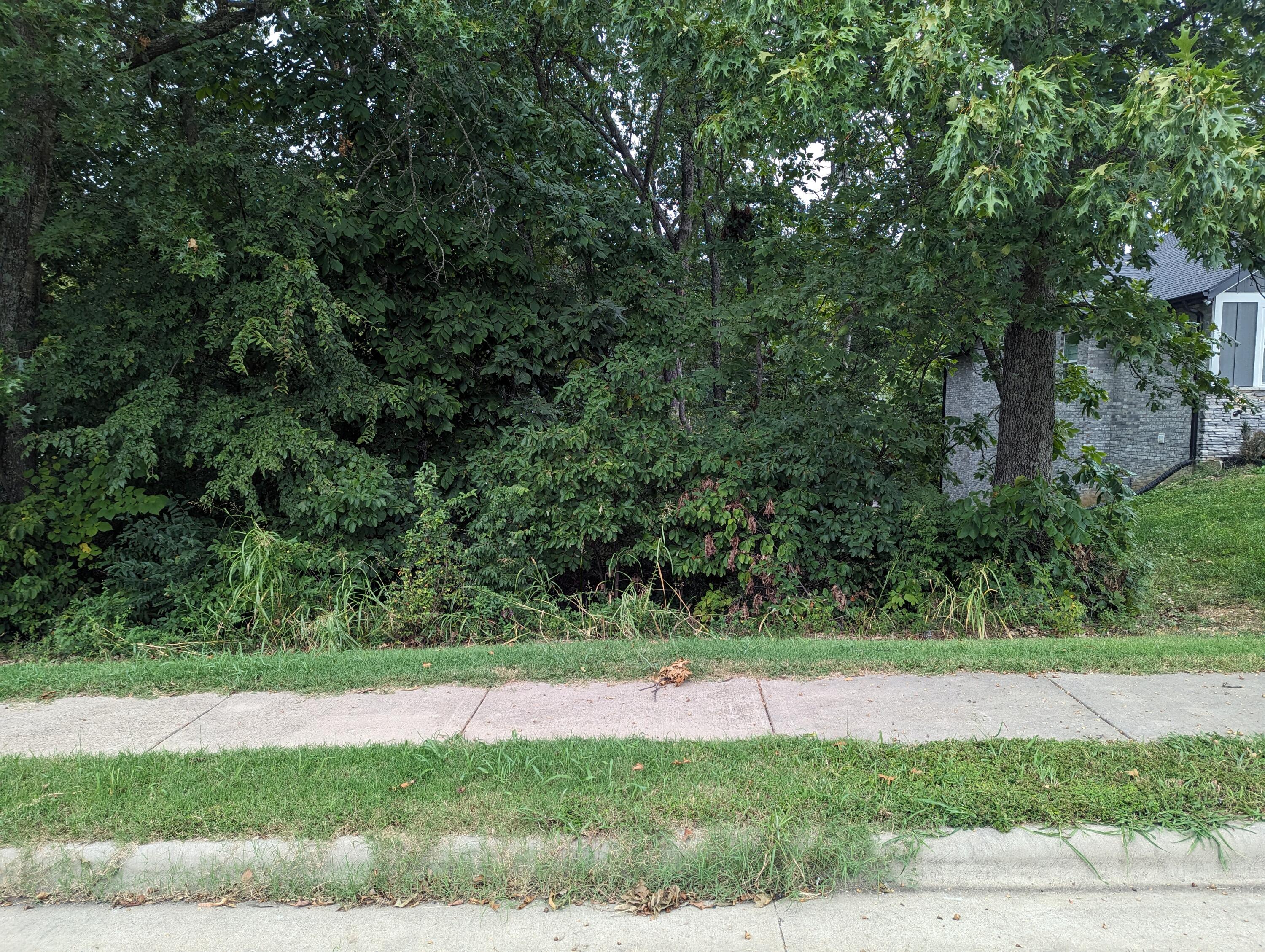 5801 Cloverdale Lane Property Photo