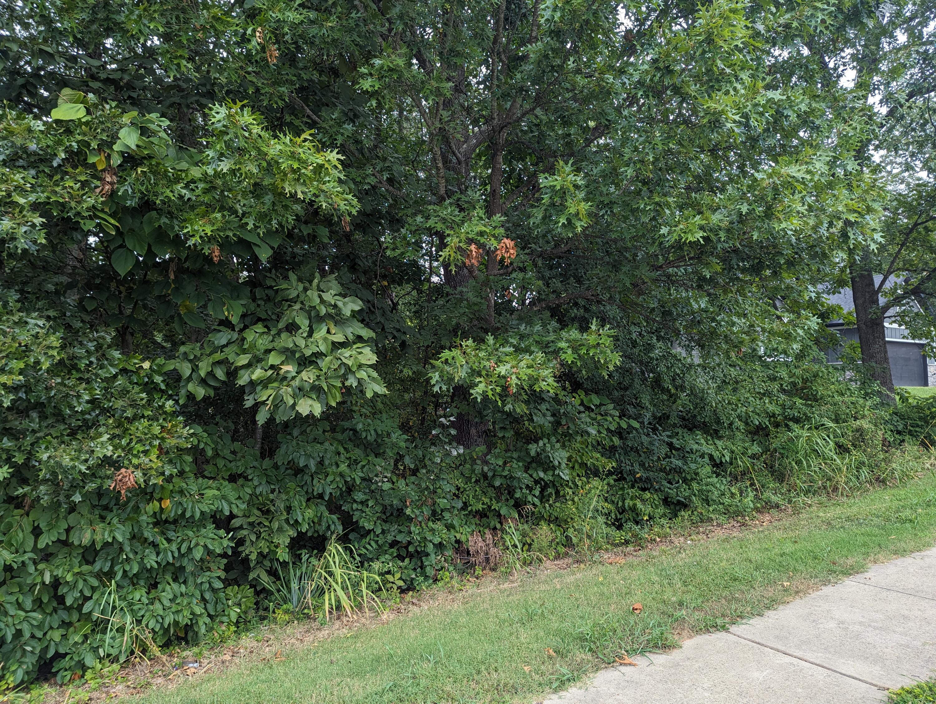 5801 Cloverdale Lane Property Photo 2