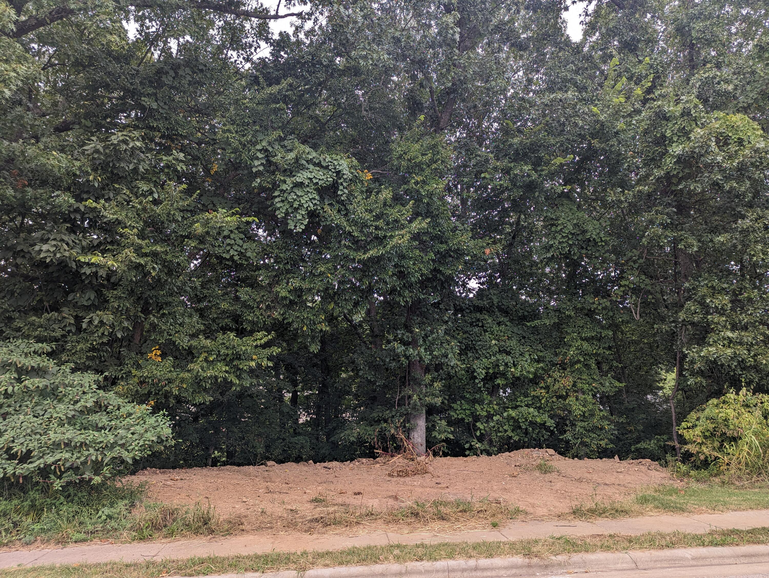 5807 South Cloverdale Lane Property Photo 4