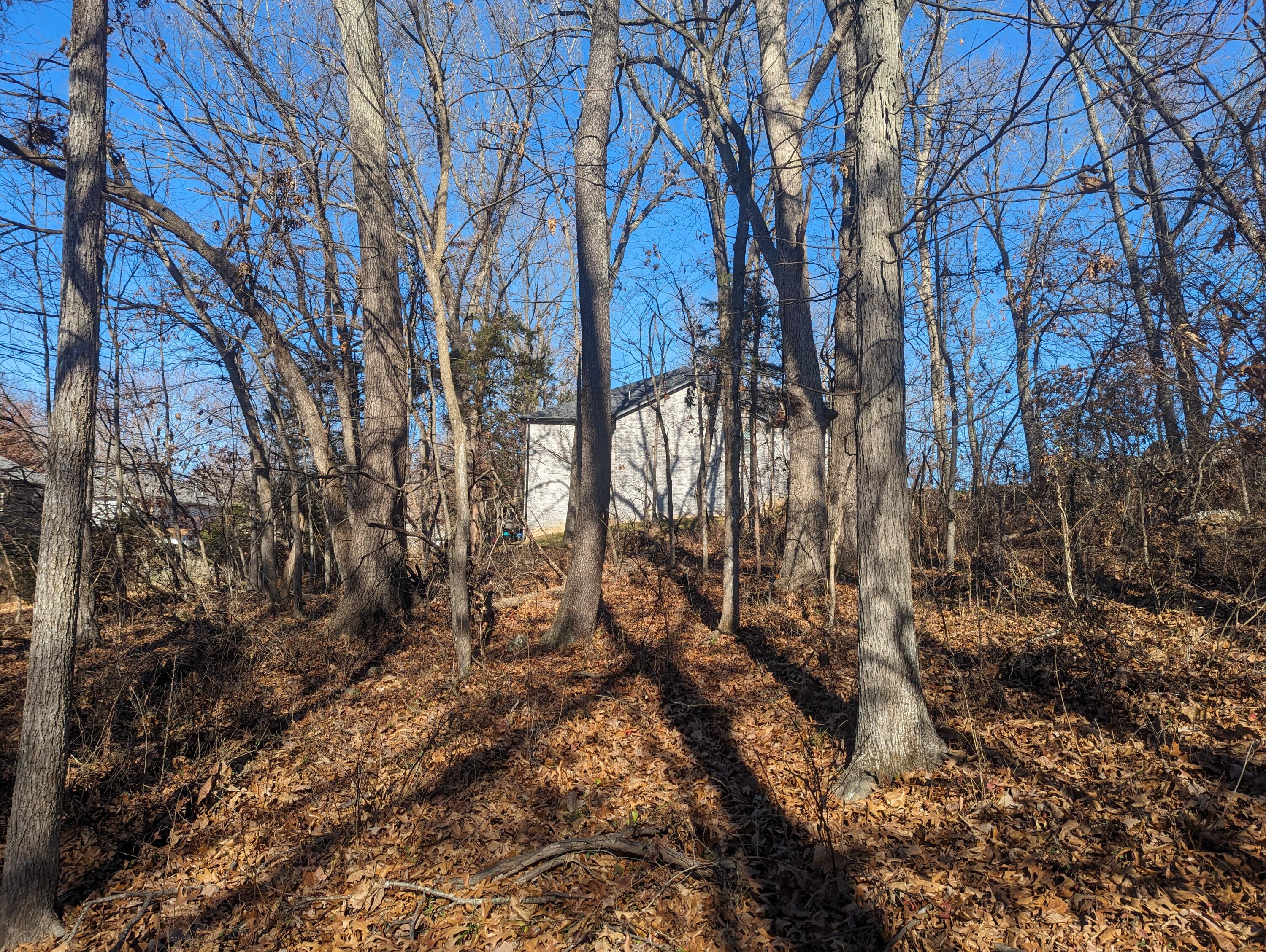 5807 South Cloverdale Lane Property Photo 7