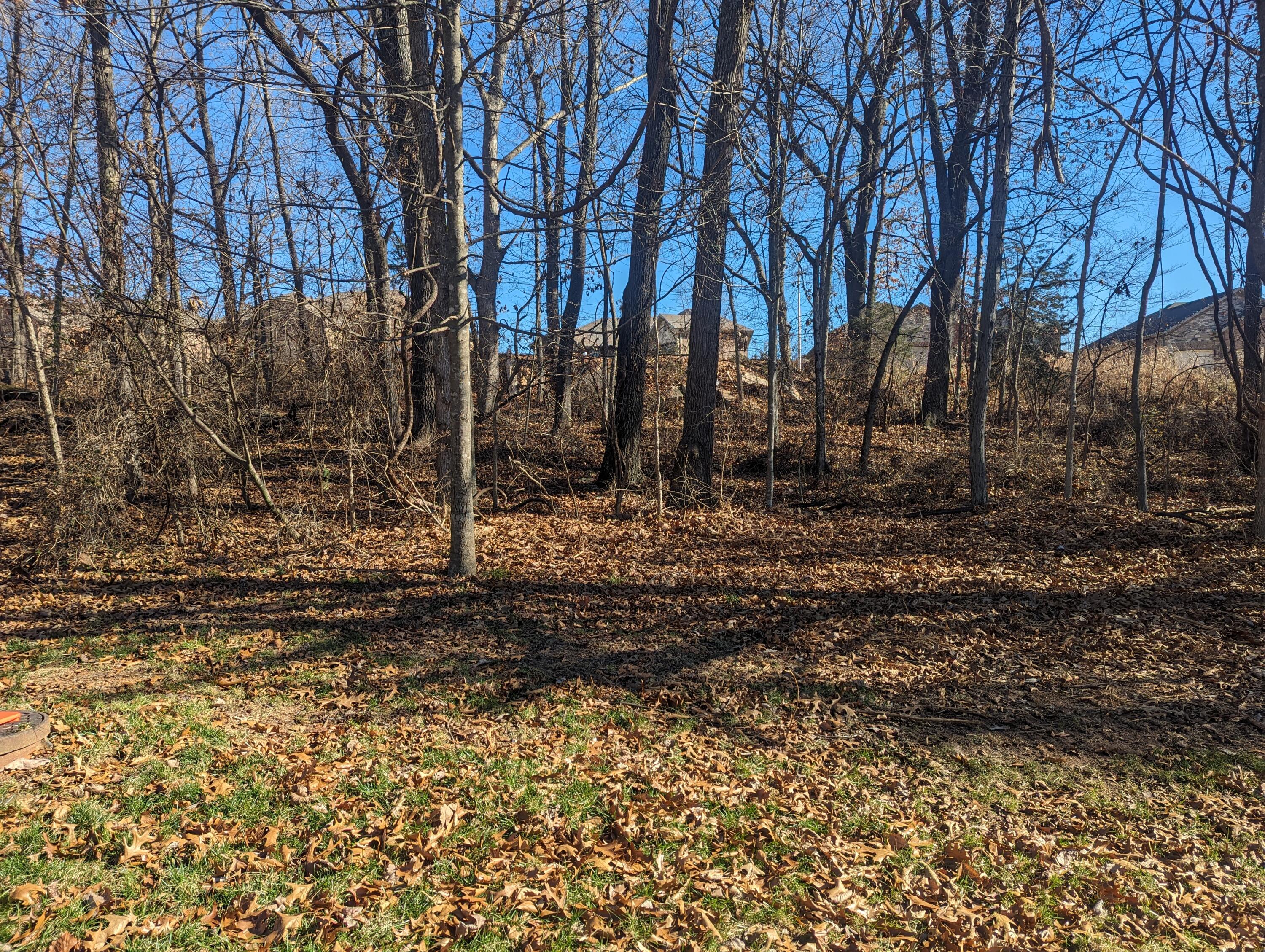 5807 South Cloverdale Lane Property Photo 8