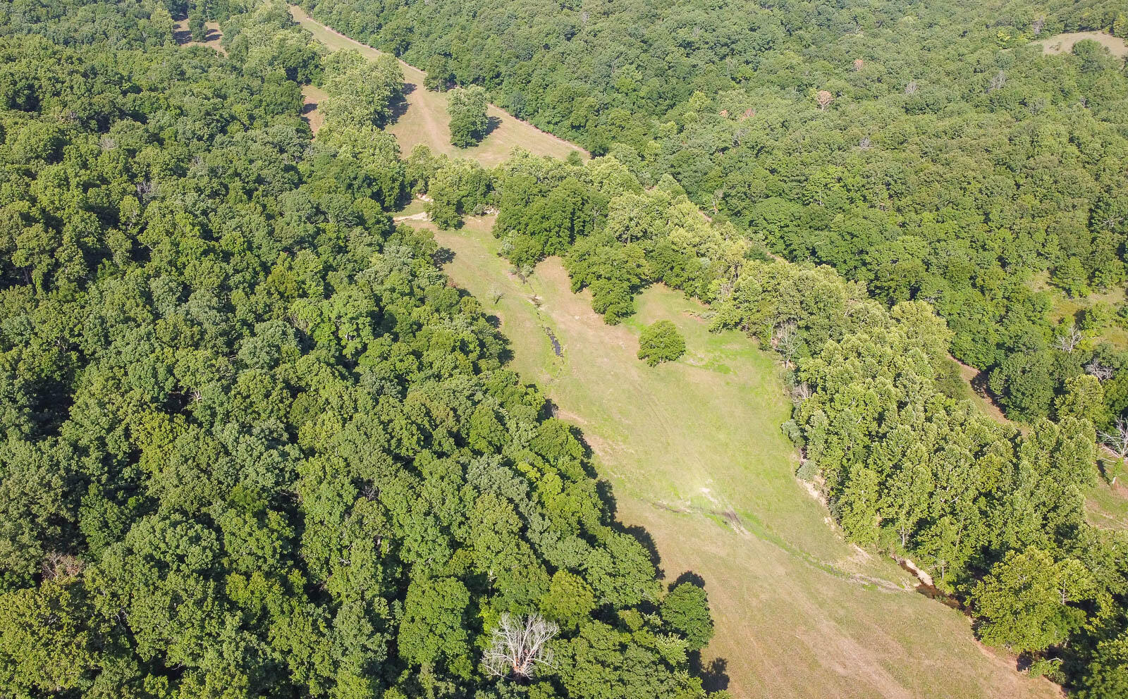 Tract 1 Corkery Road Property Photo 3