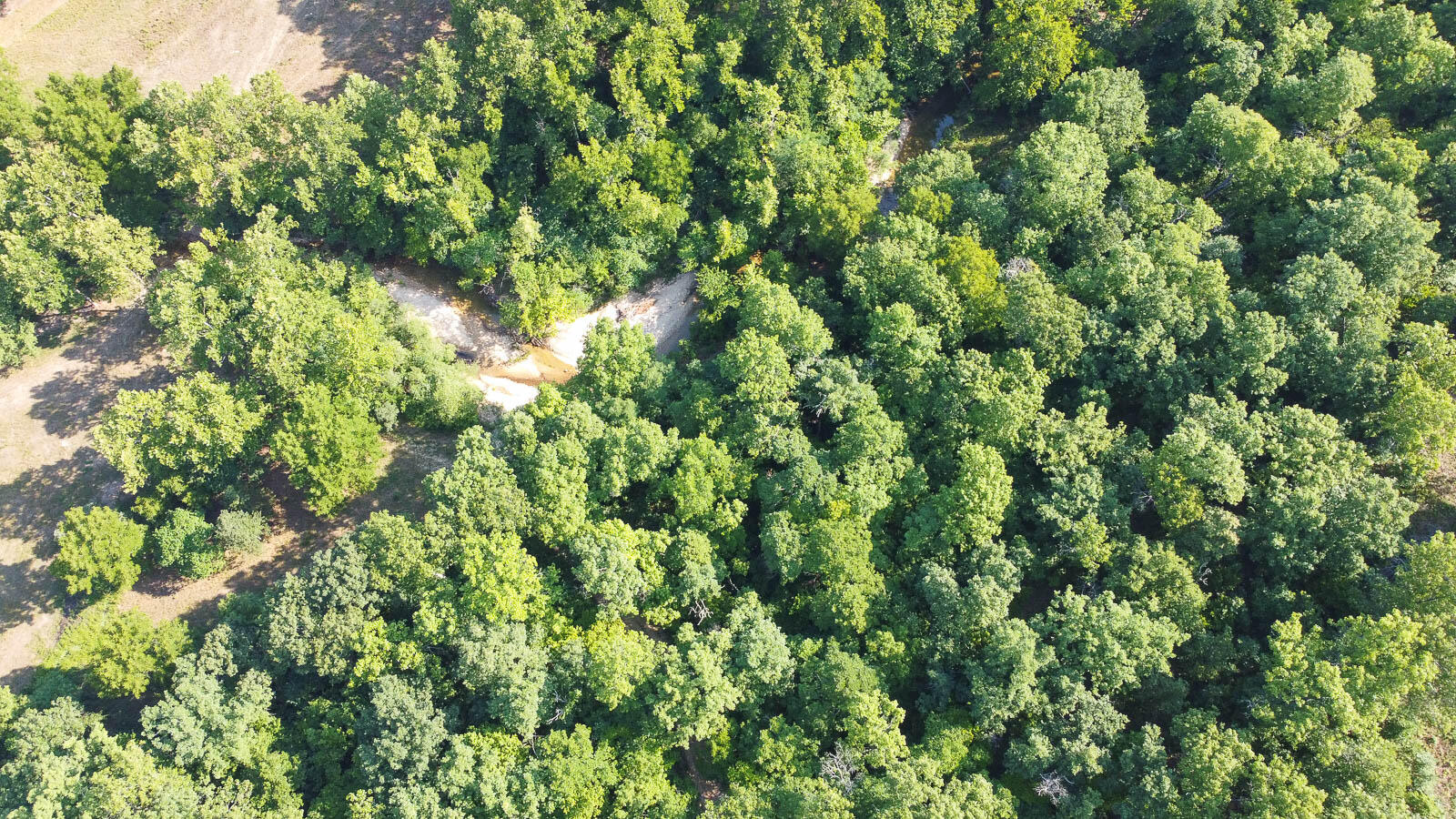 Tract 2 Corkery Road Property Photo 3
