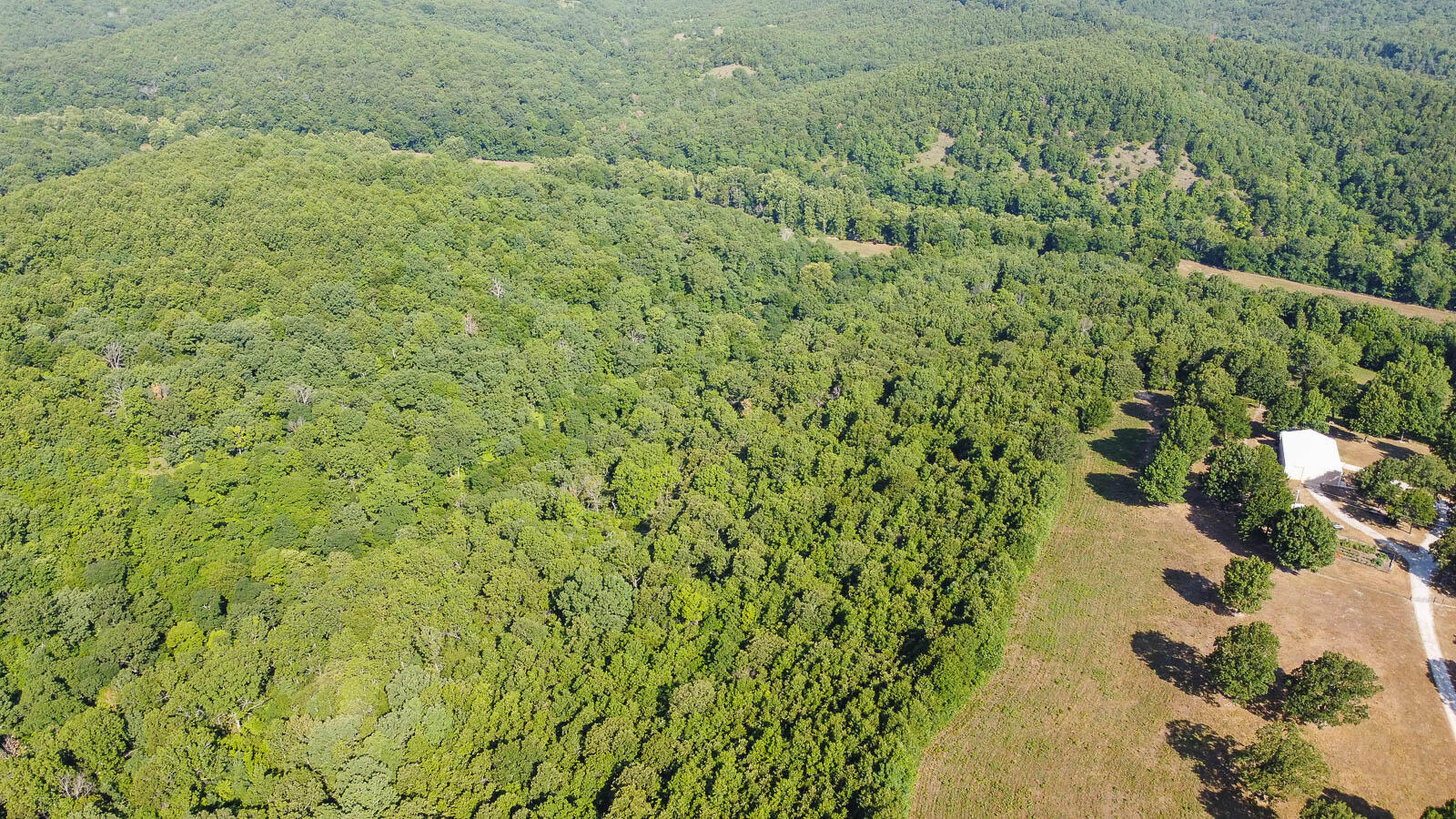 Tract 2 Corkery Road Property Photo 5