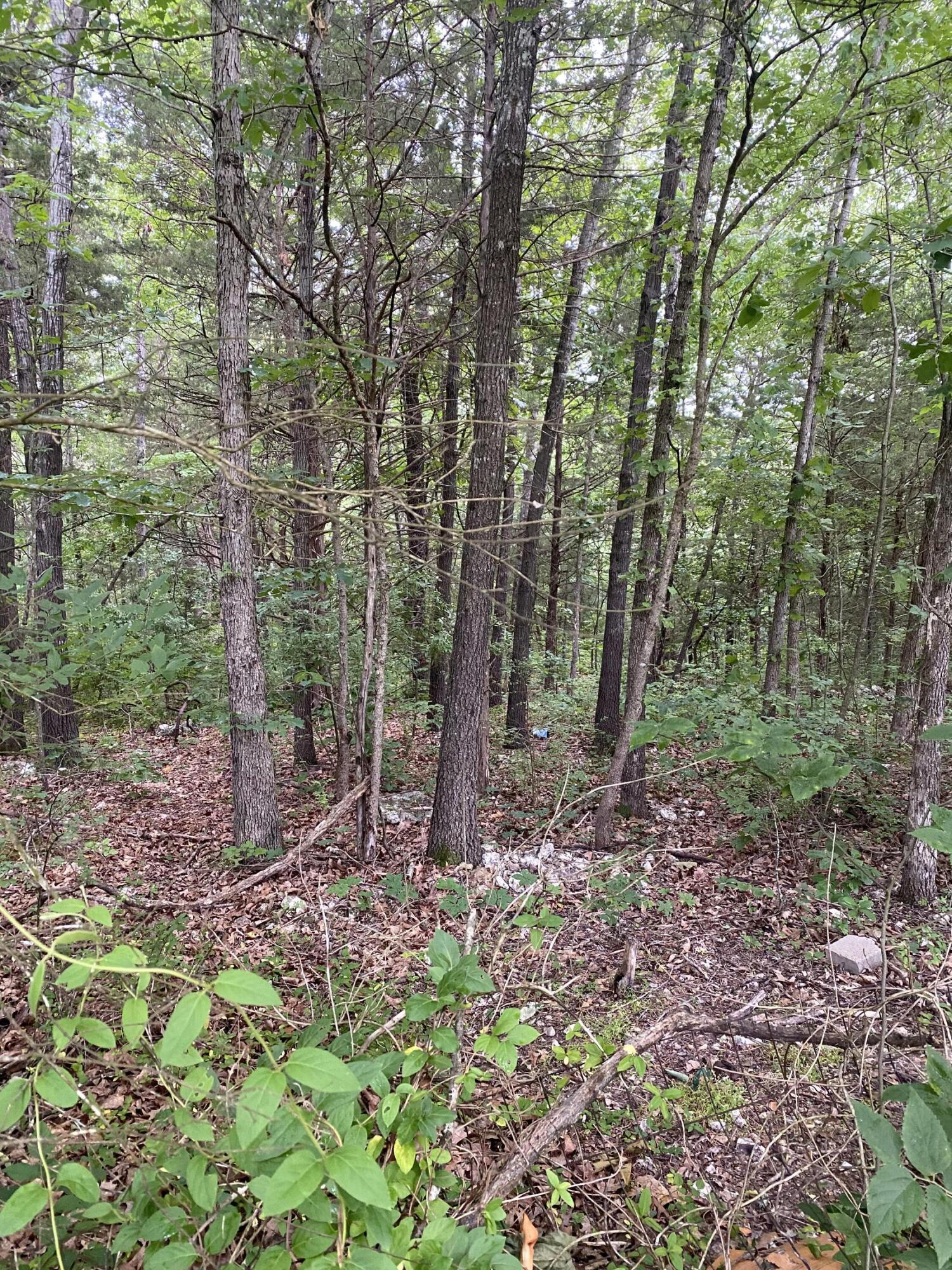 Lot 28- Oak Lane Property Photo